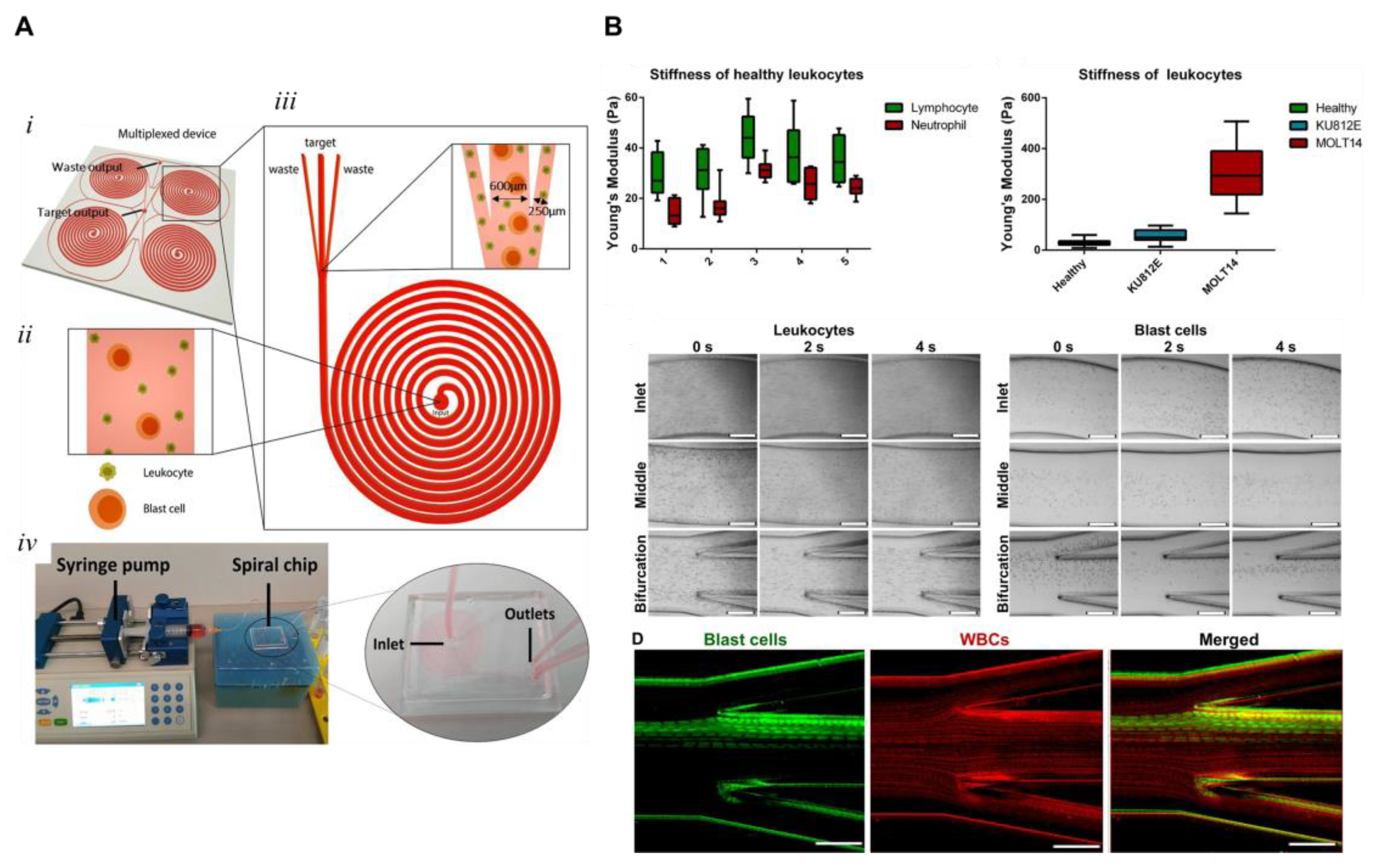 Cancers 15 01362 g004