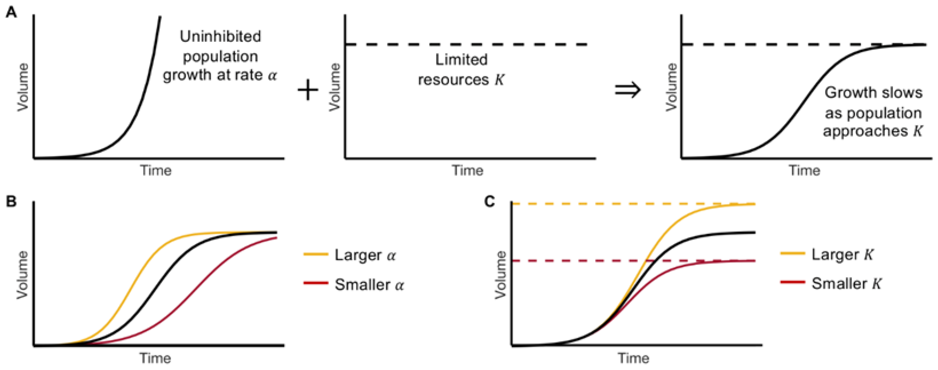 Cancers 15 01368 g001