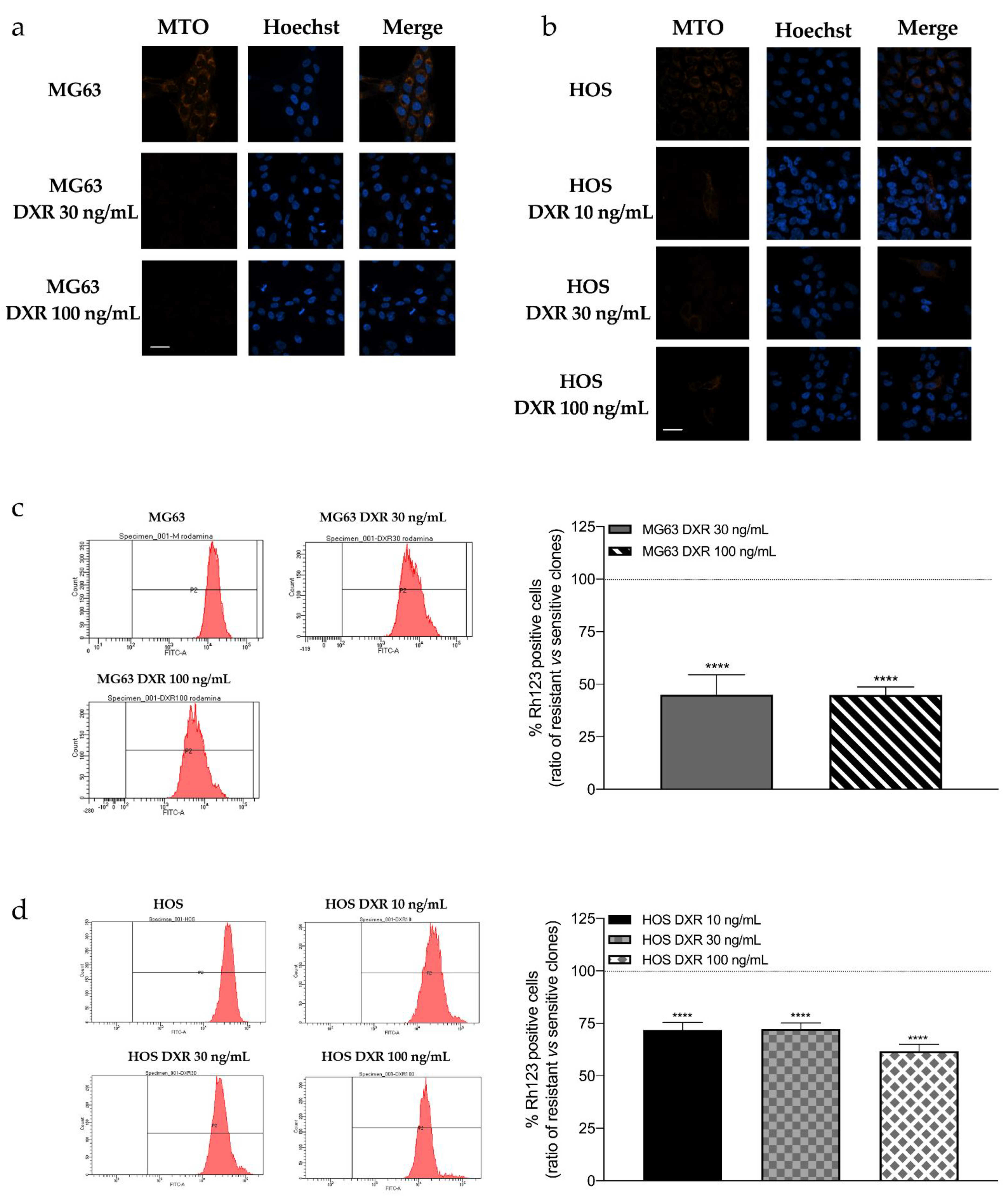 Cancers 15 01370 g001 Cancers 15 01370 g001