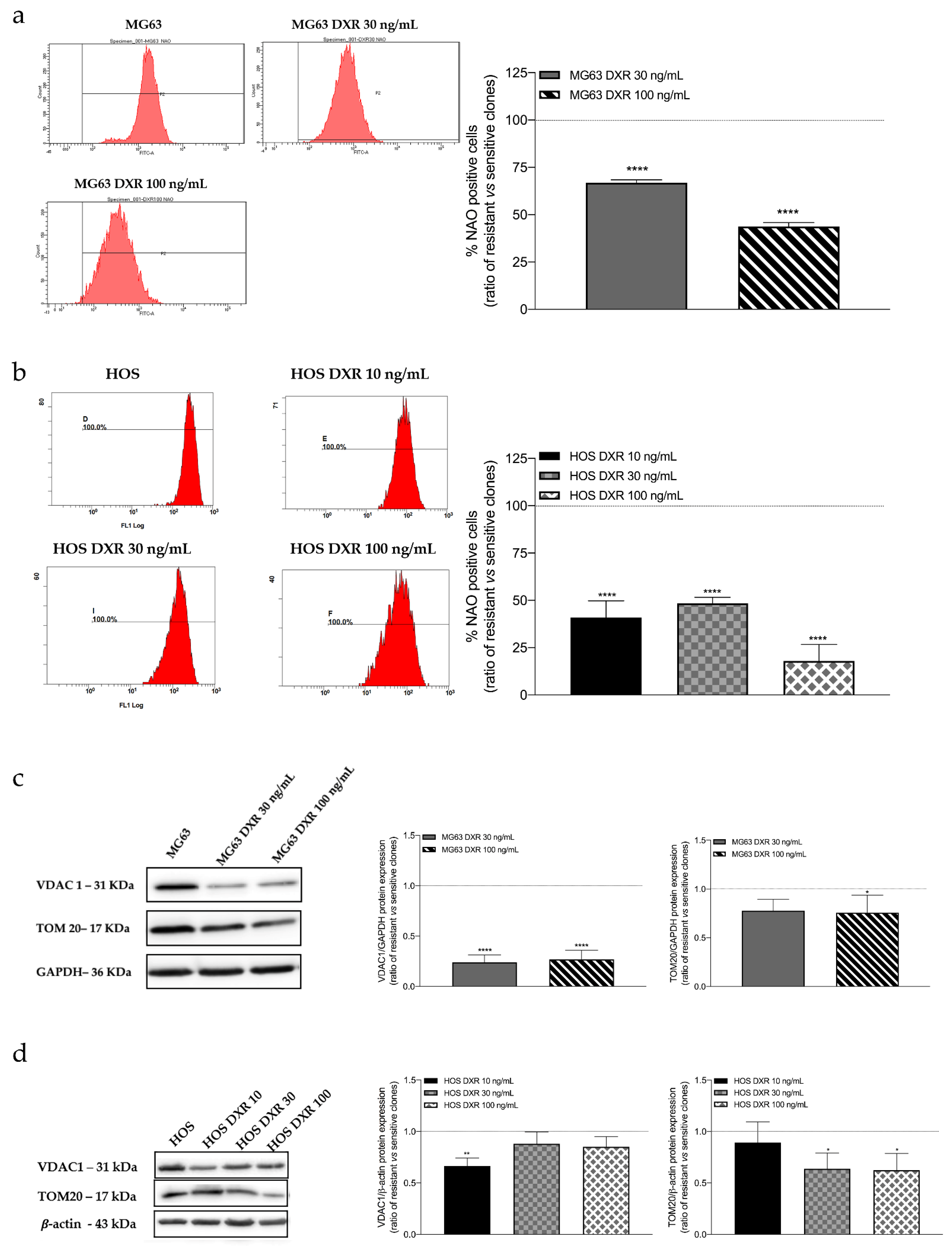 Cancers 15 01370 g002 Cancers 15 01370 g002