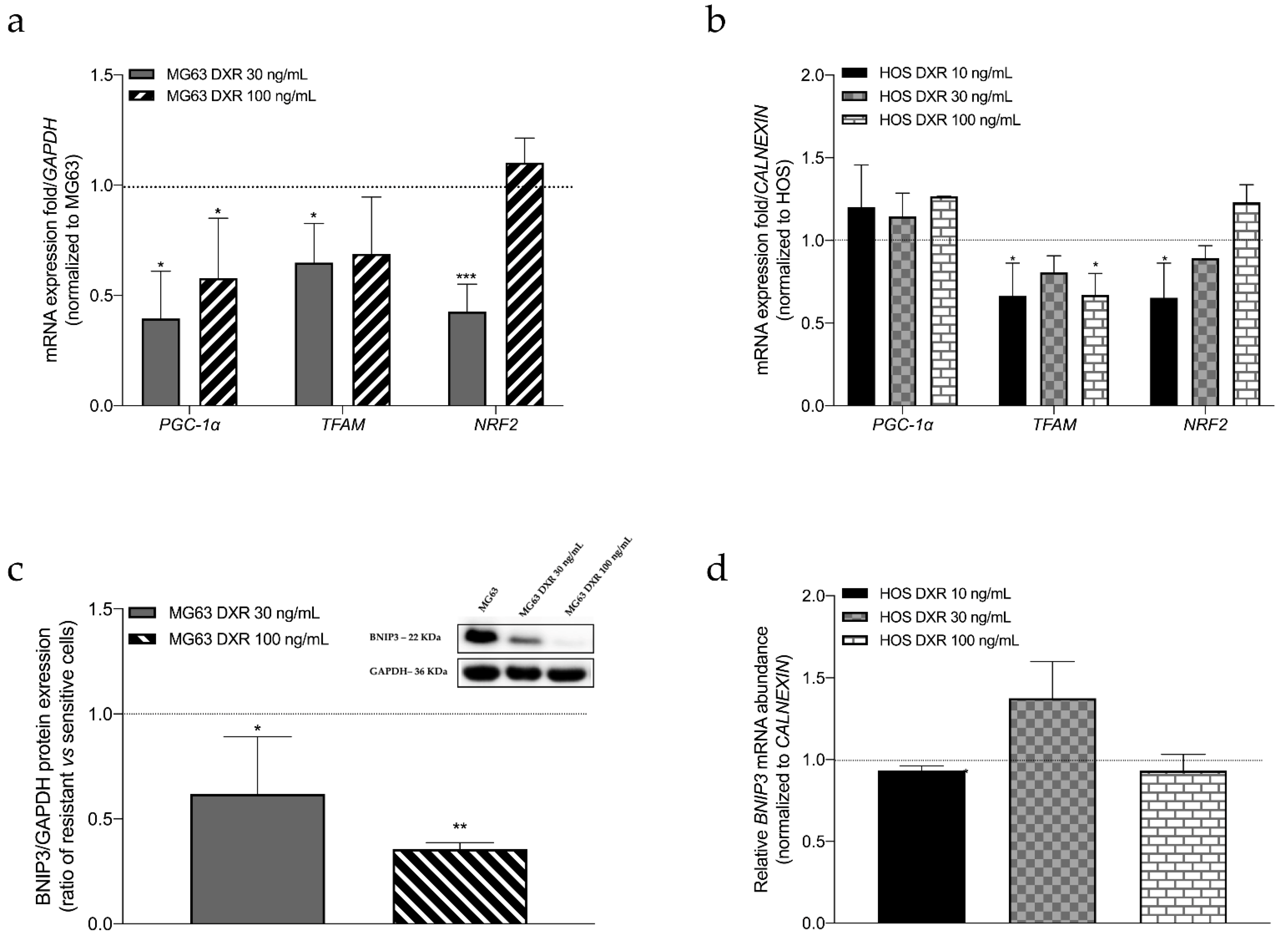 Cancers 15 01370 g003 Cancers 15 01370 g003