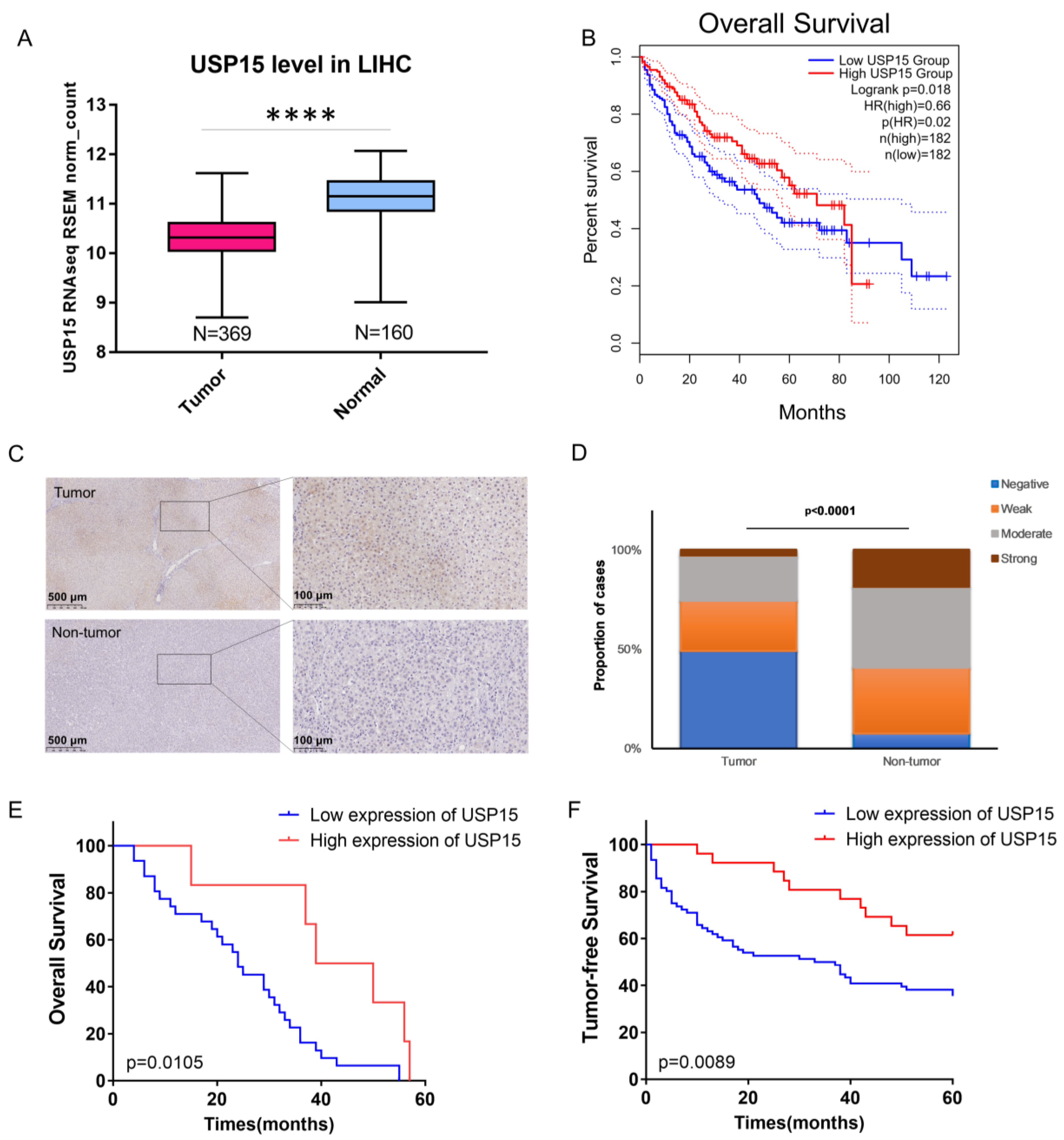 Cancers 15 01371 g001