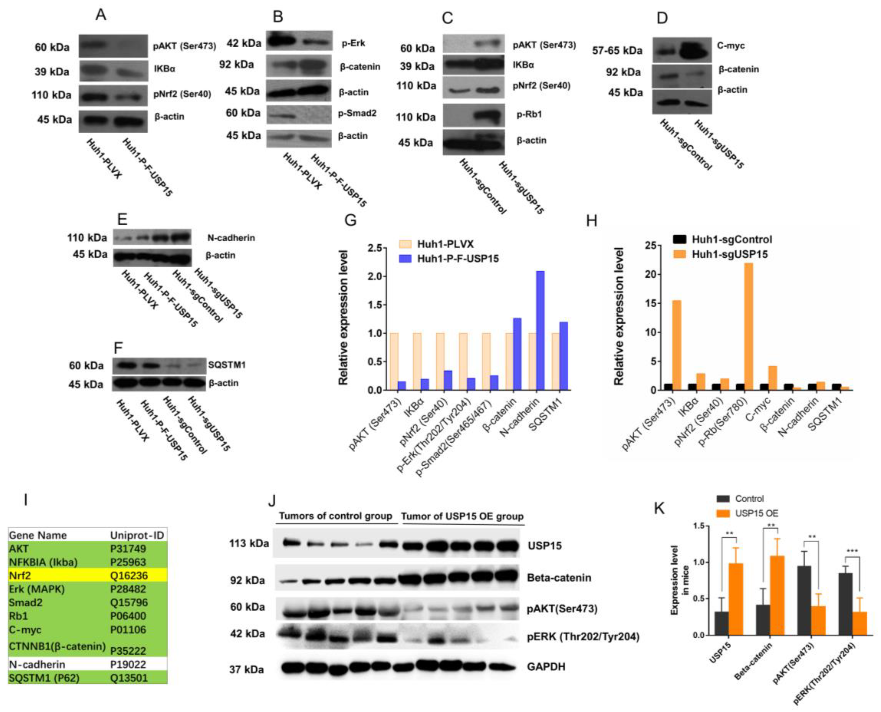 Cancers 15 01371 g004
