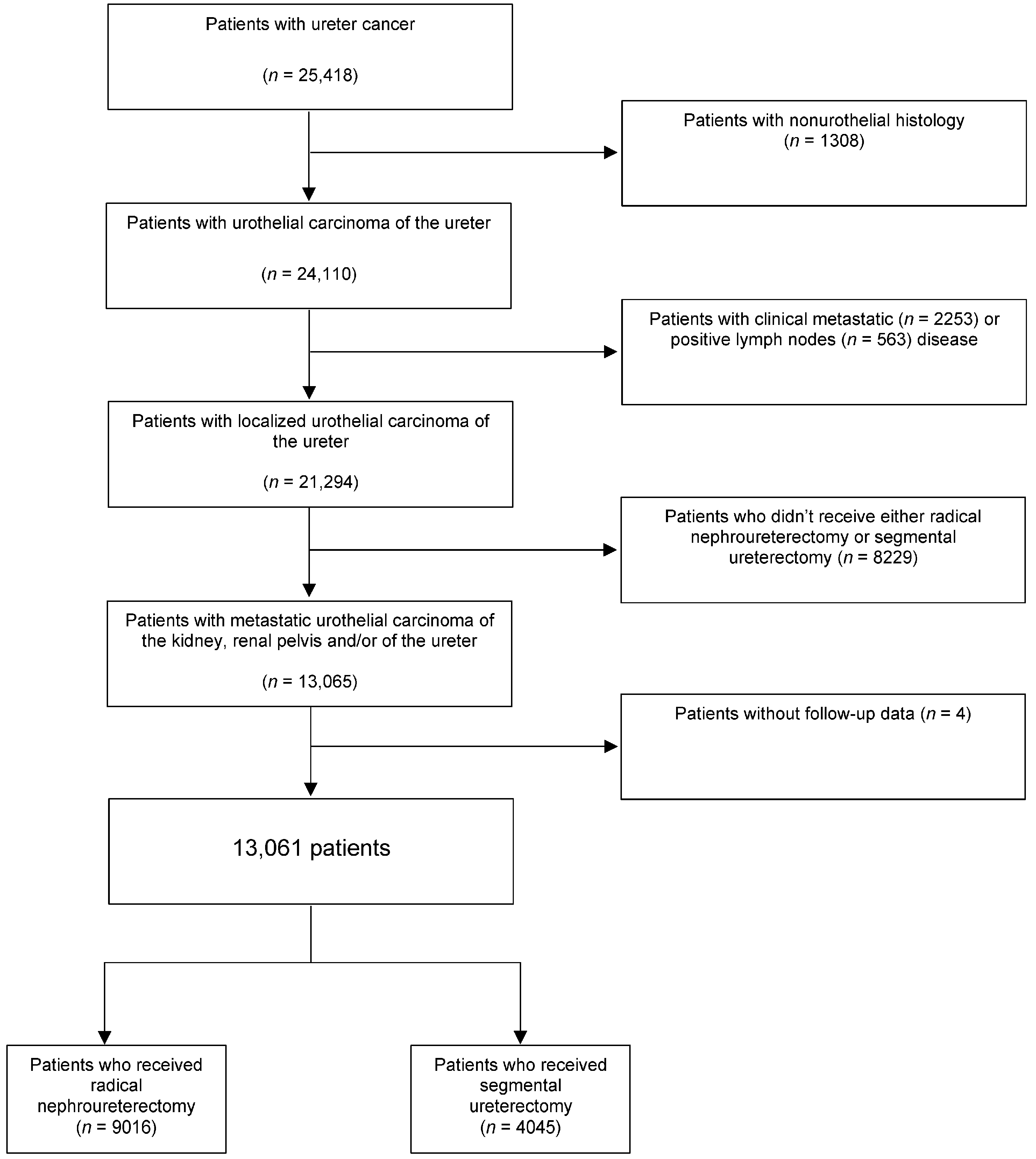 Cancers 15 01373 g001 Cancers 15 01373 g001