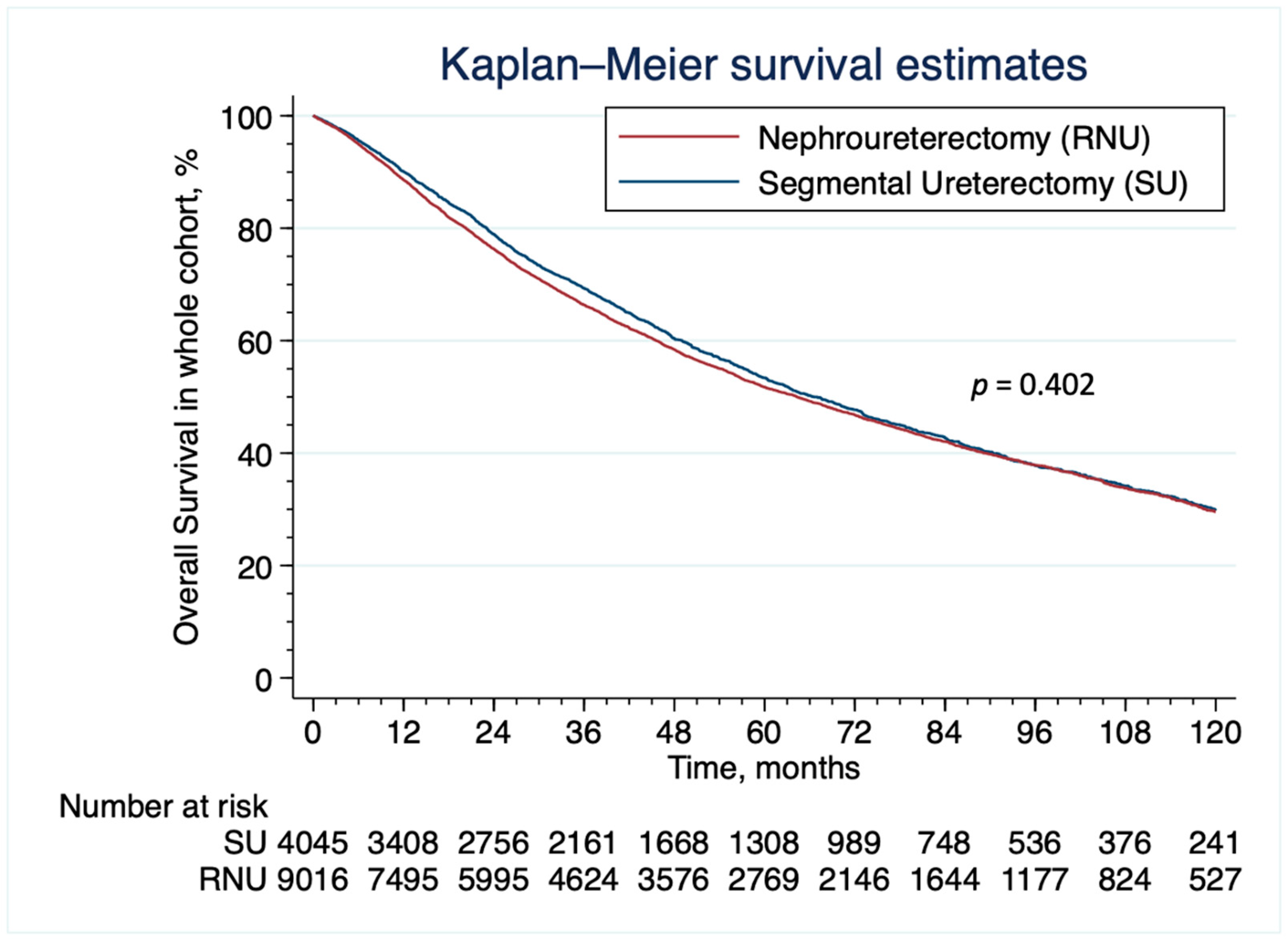 Cancers 15 01373 g002 Cancers 15 01373 g002