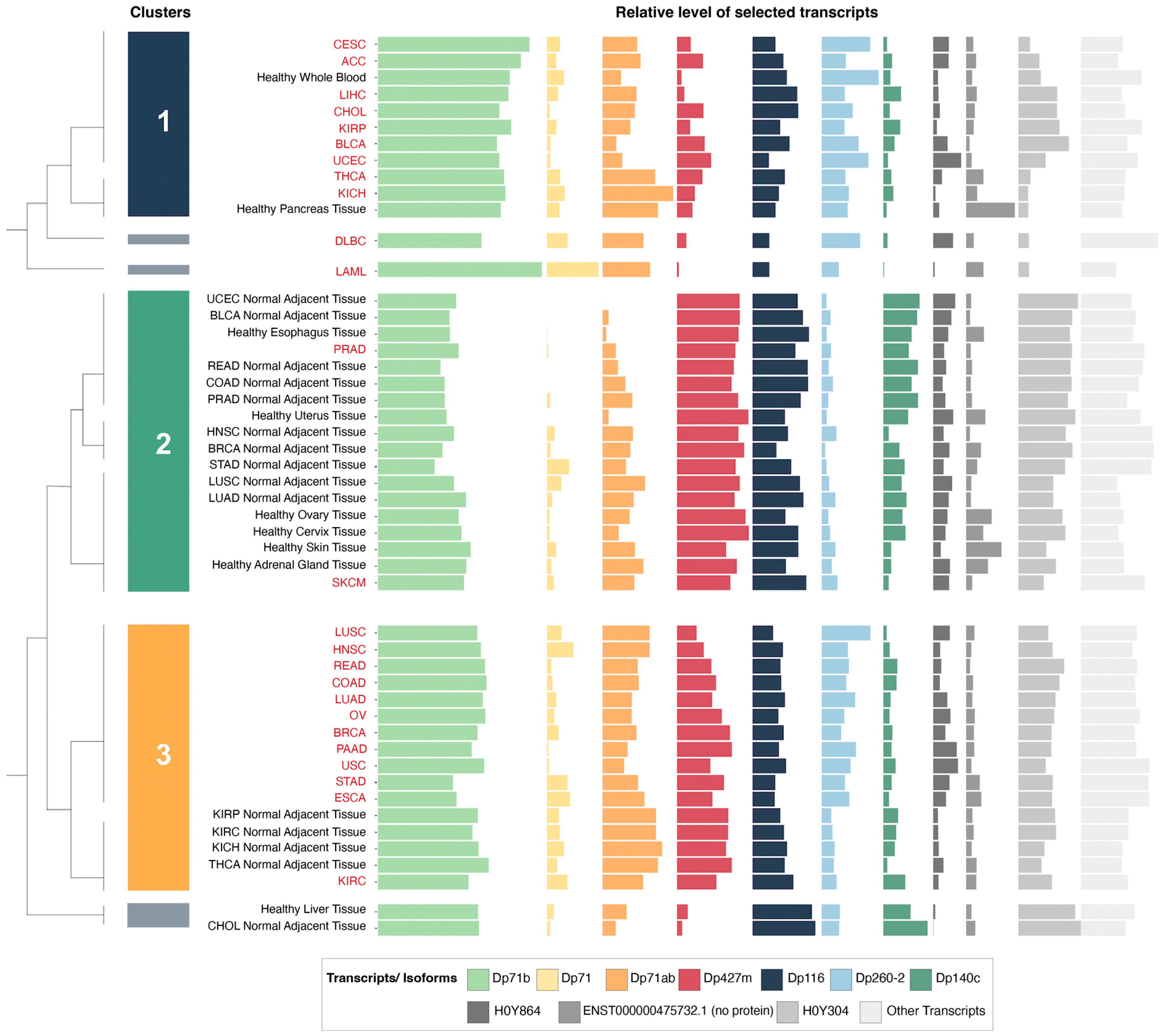 Cancers 15 01378 g002