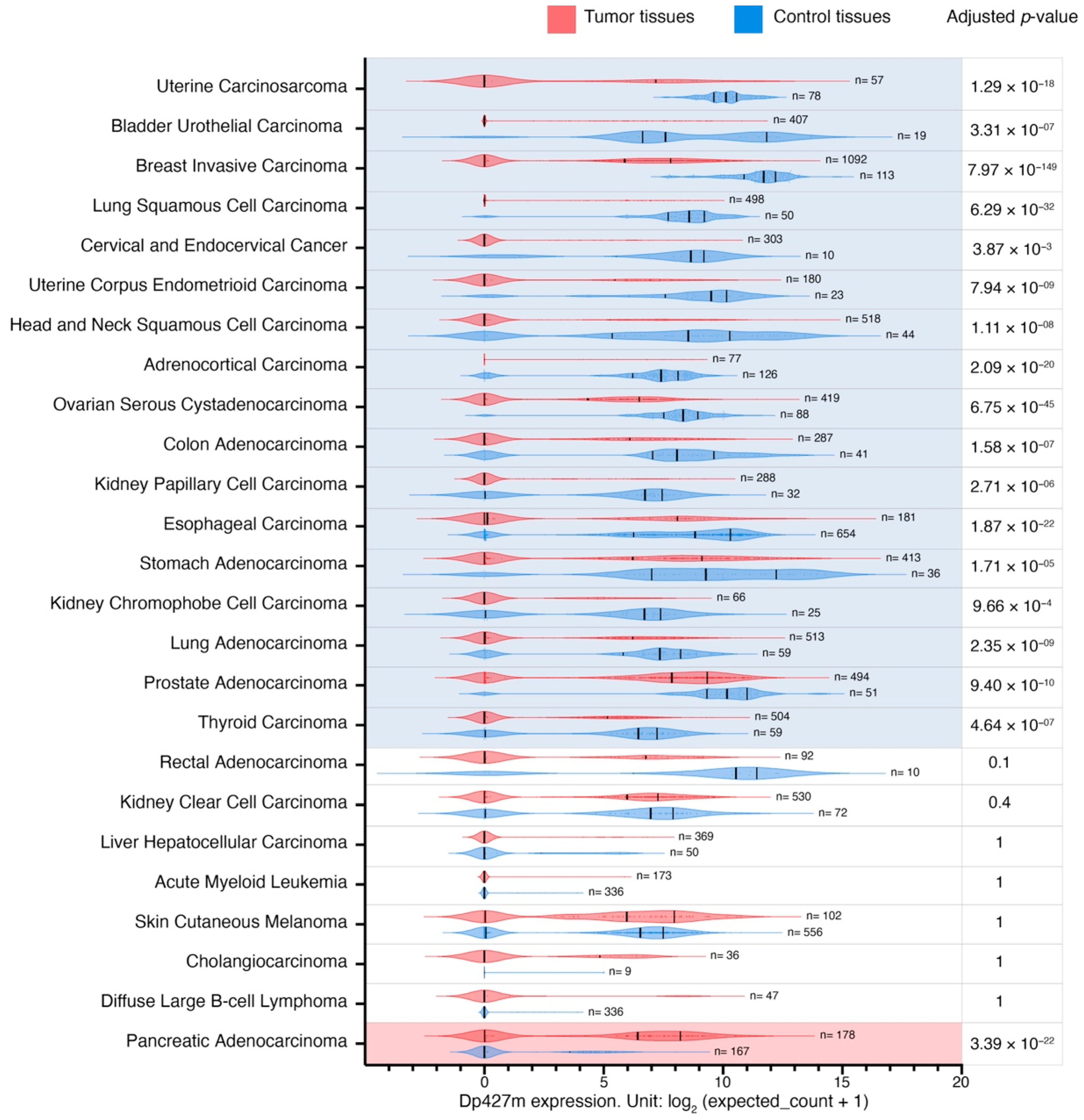 Cancers 15 01378 g003
