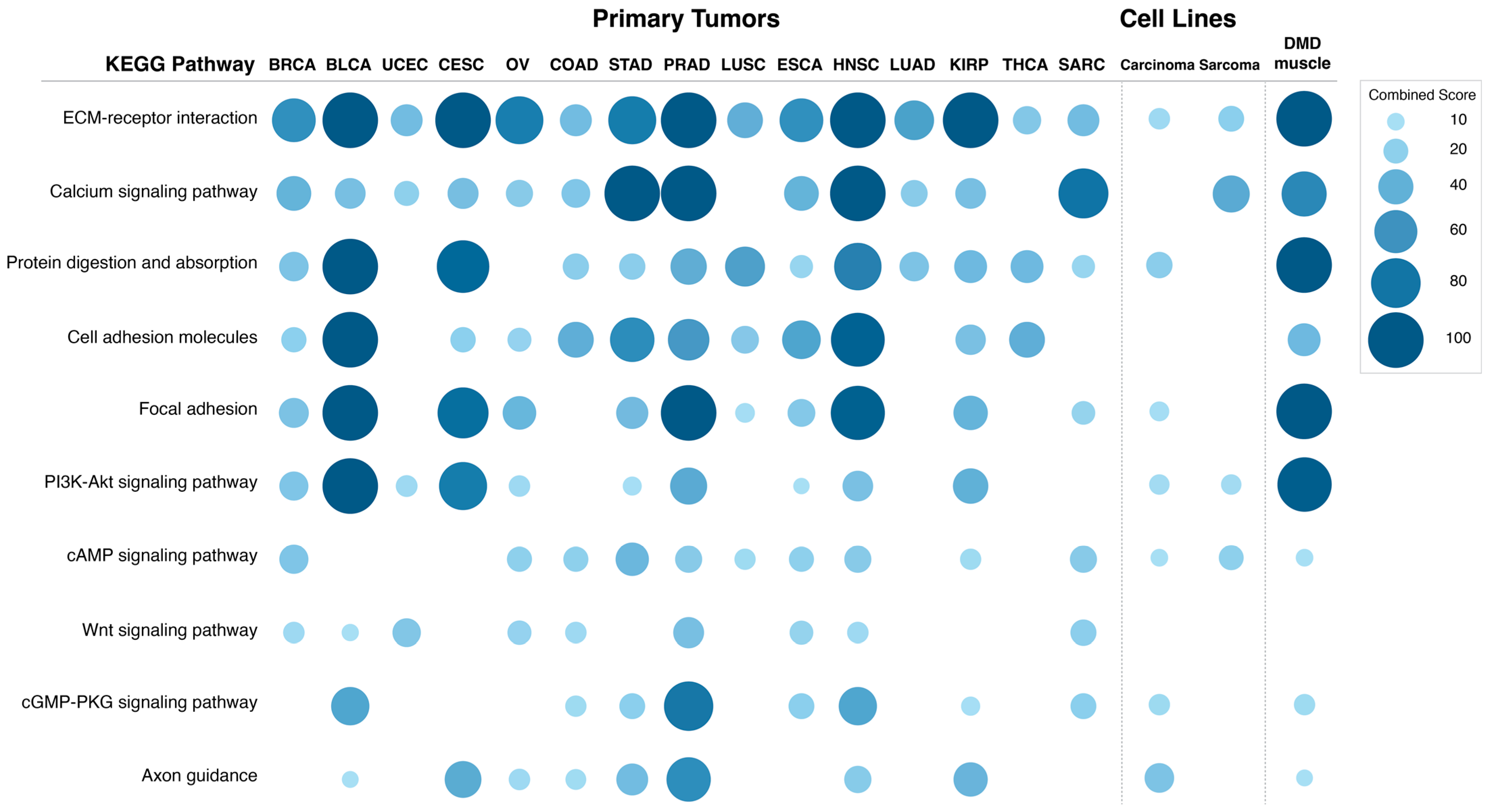 Cancers 15 01378 g006