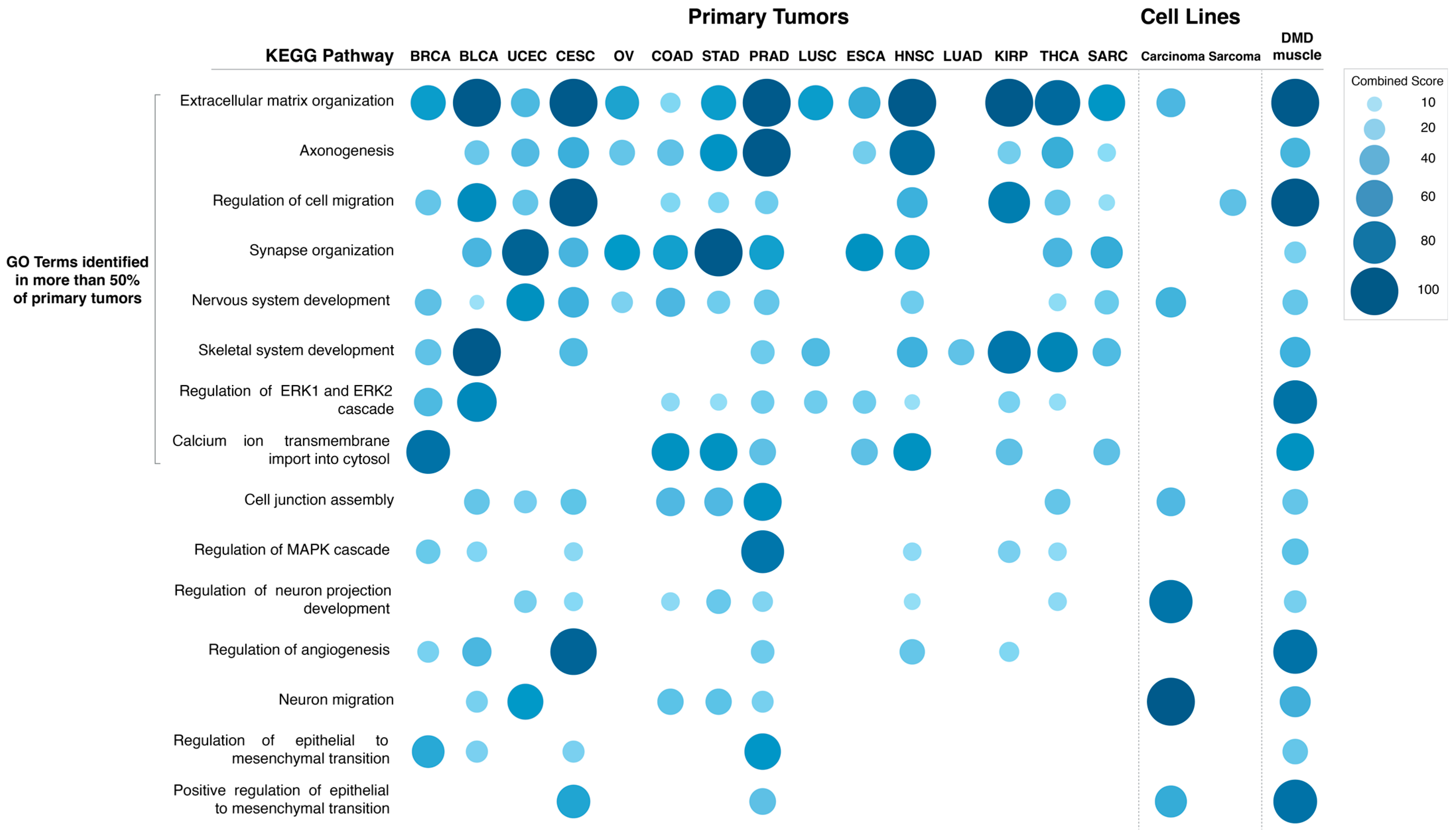 Cancers 15 01378 g007