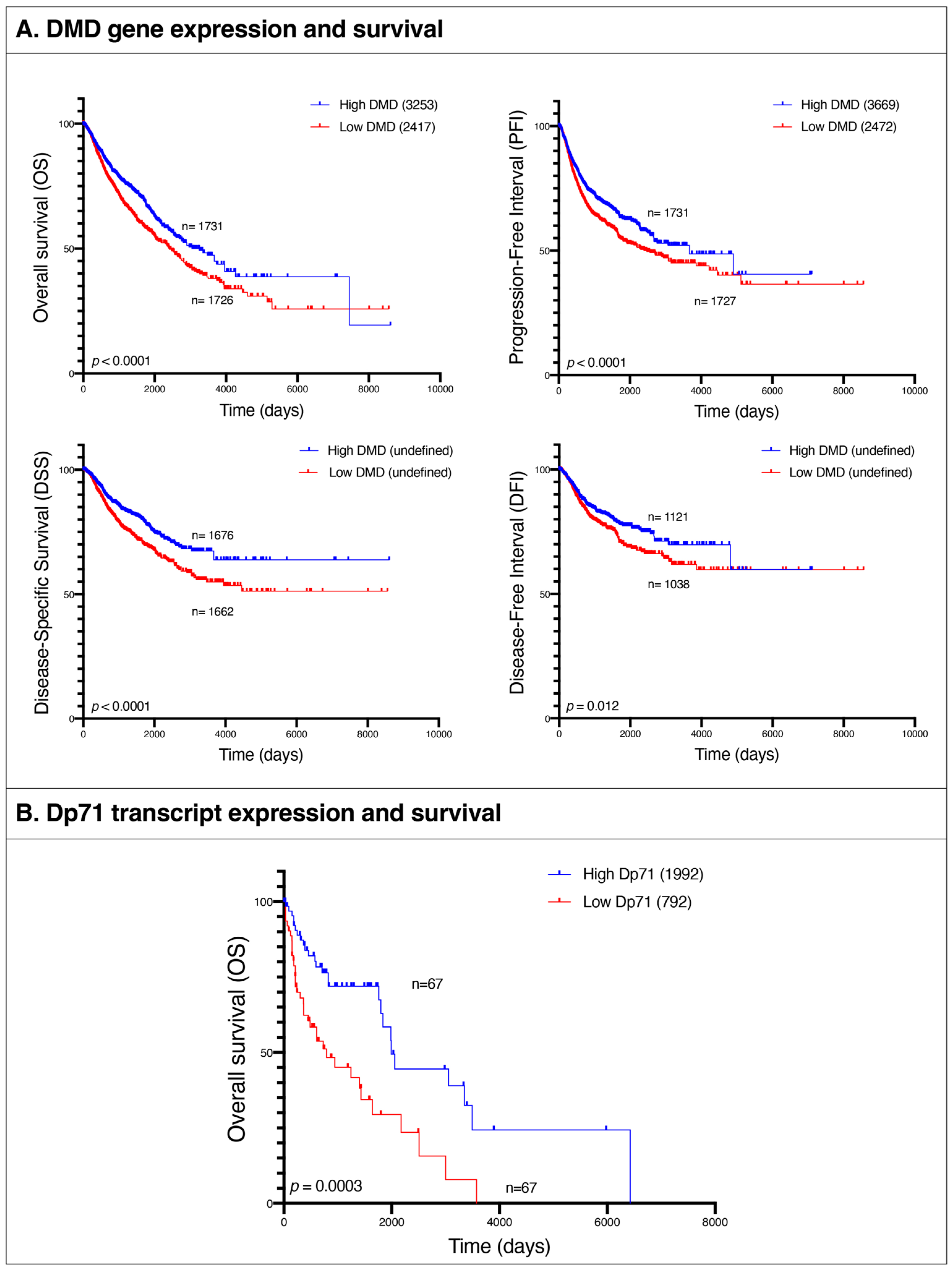 Cancers 15 01378 g008
