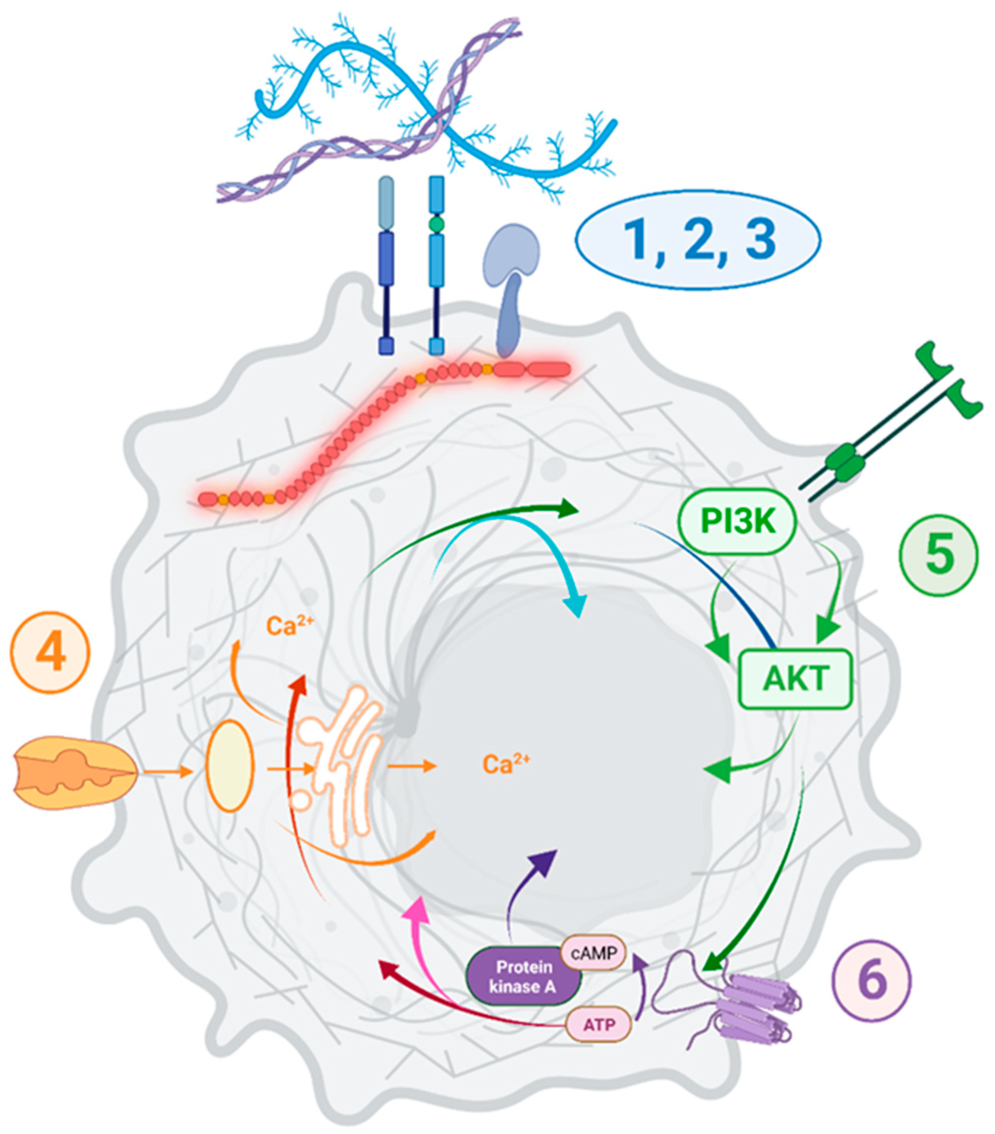 Cancers 15 01378 g009