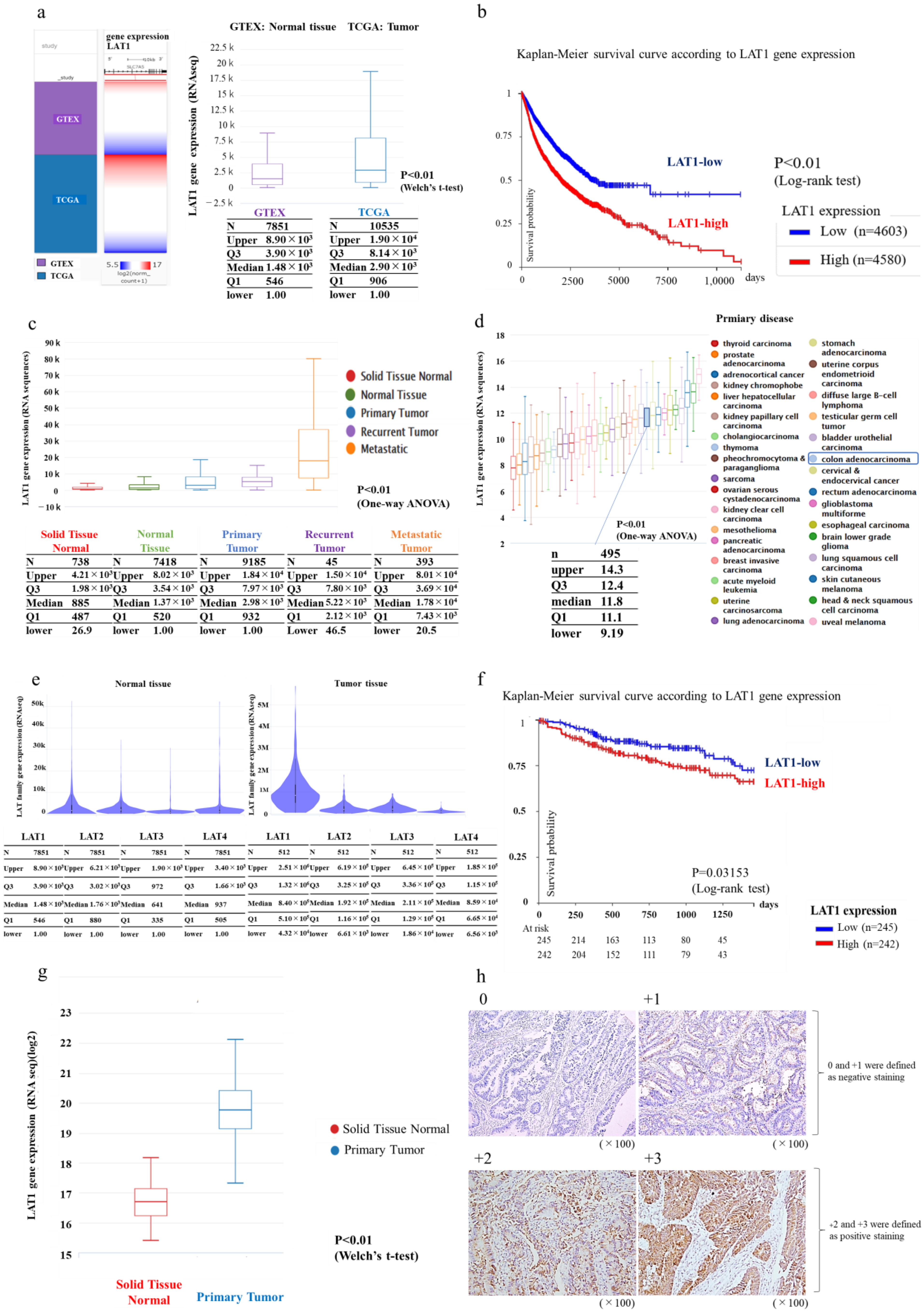 Cancers 15 01383 g001 Cancers 15 01383 g001