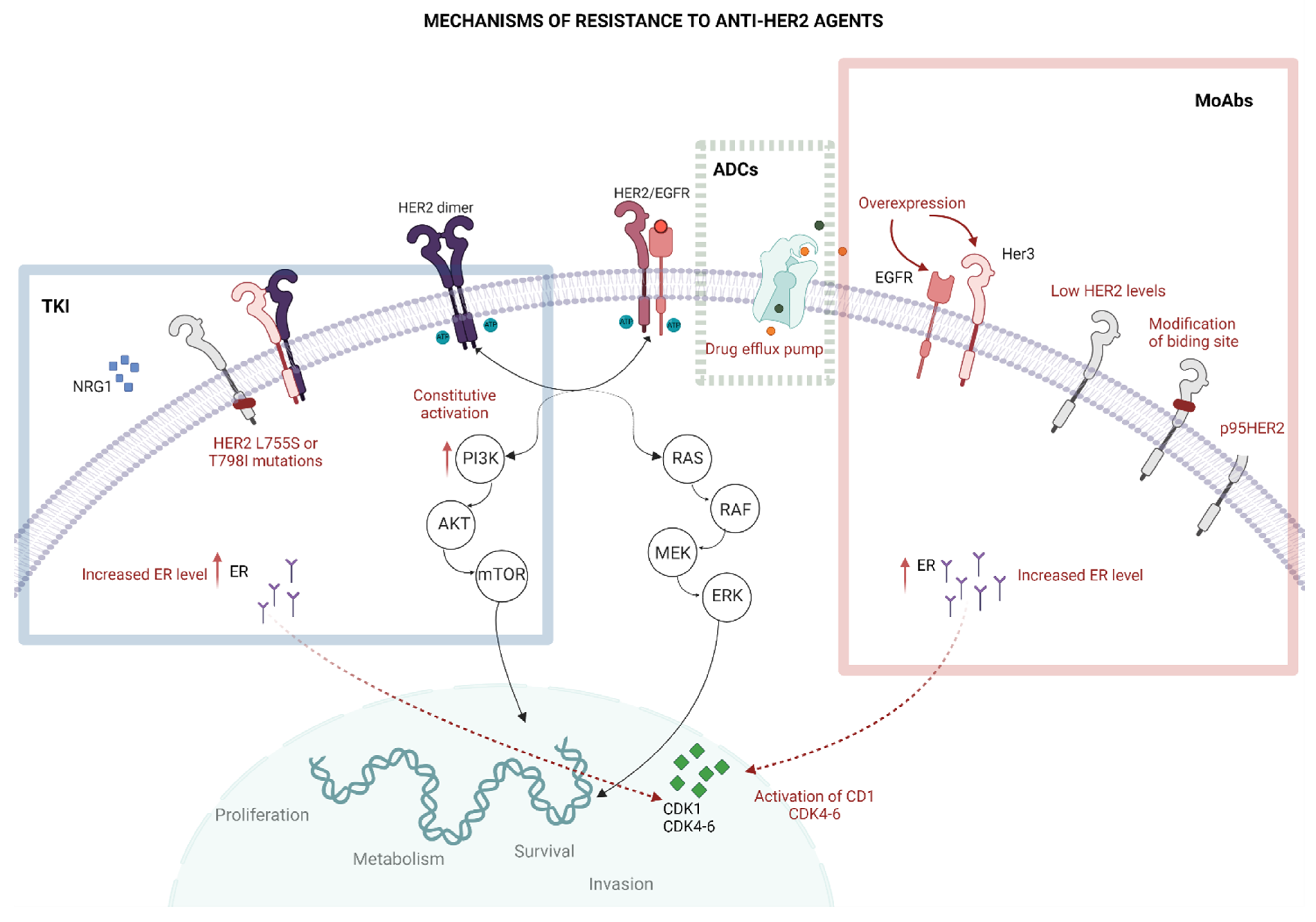 Cancers 15 01385 g001 Cancers 15 01385 g001