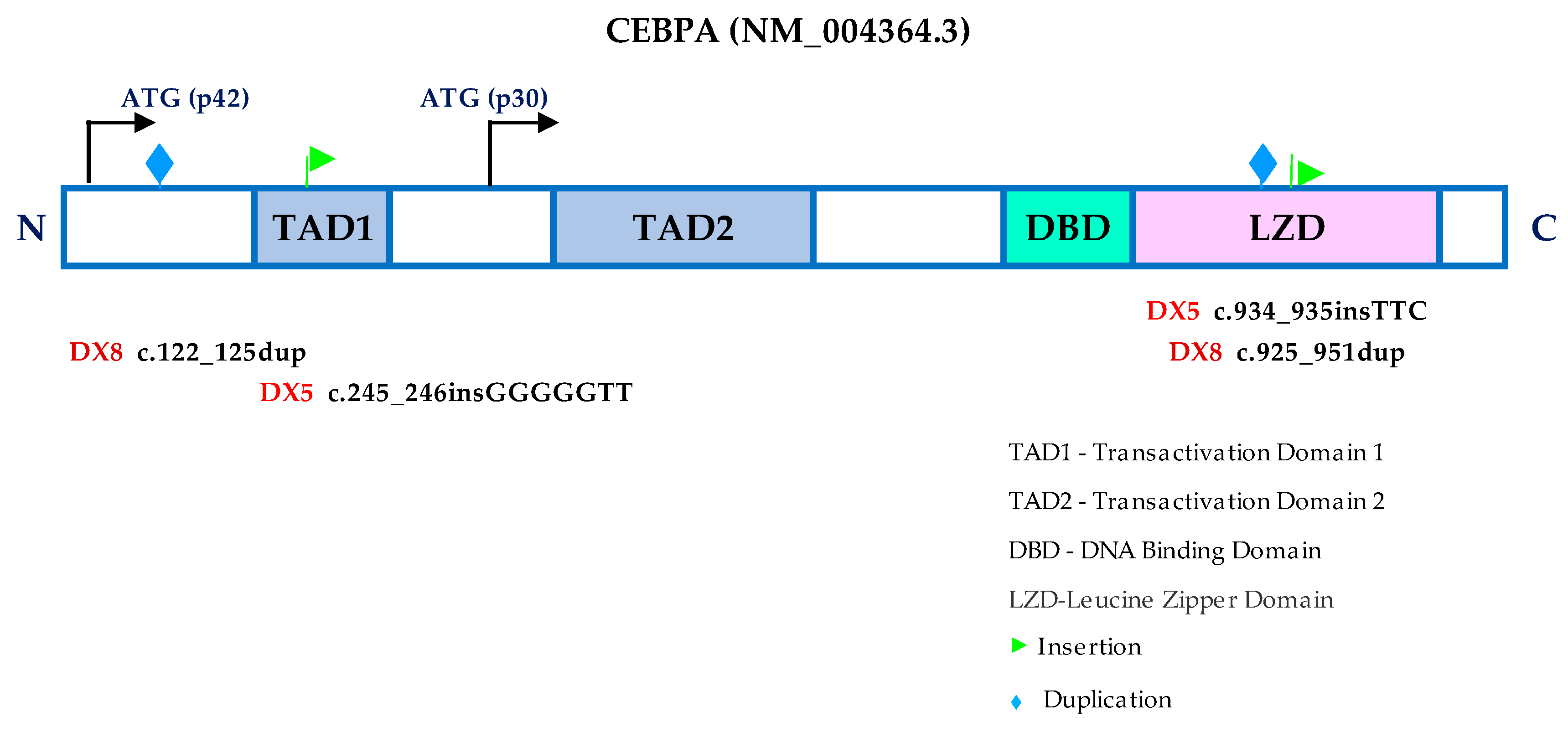 Cancers 15 01386 g005 Cancers 15 01386 g005