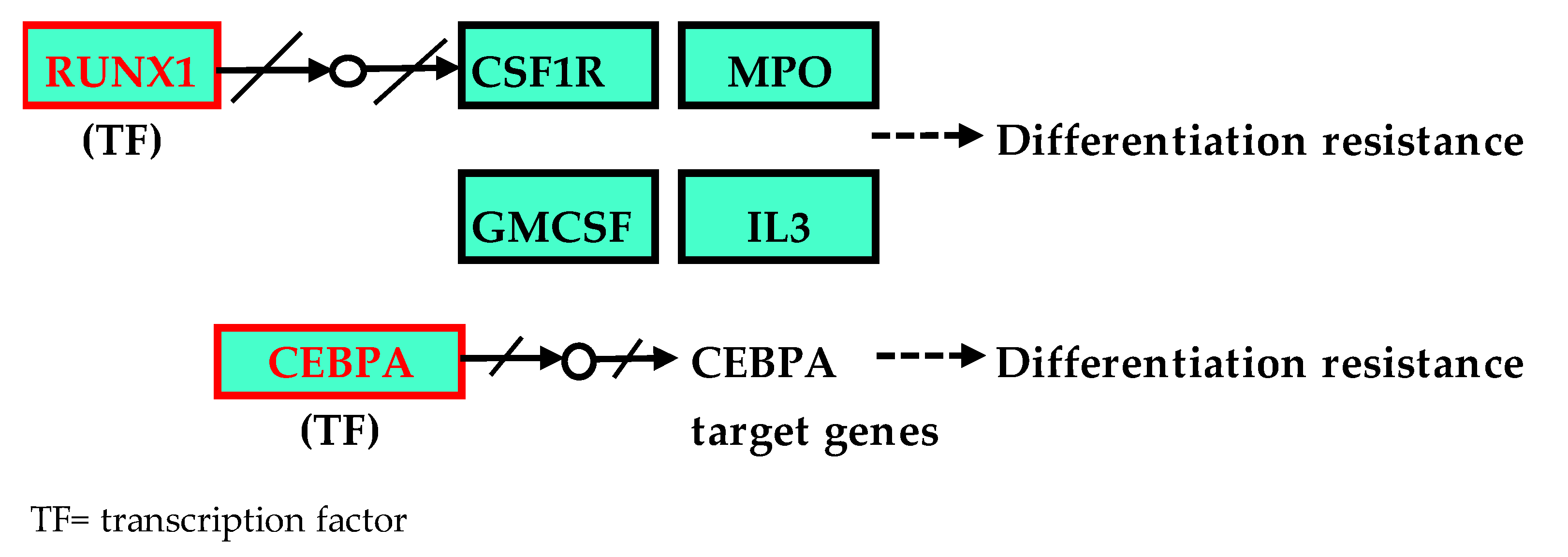 Cancers 15 01386 g006 Cancers 15 01386 g006