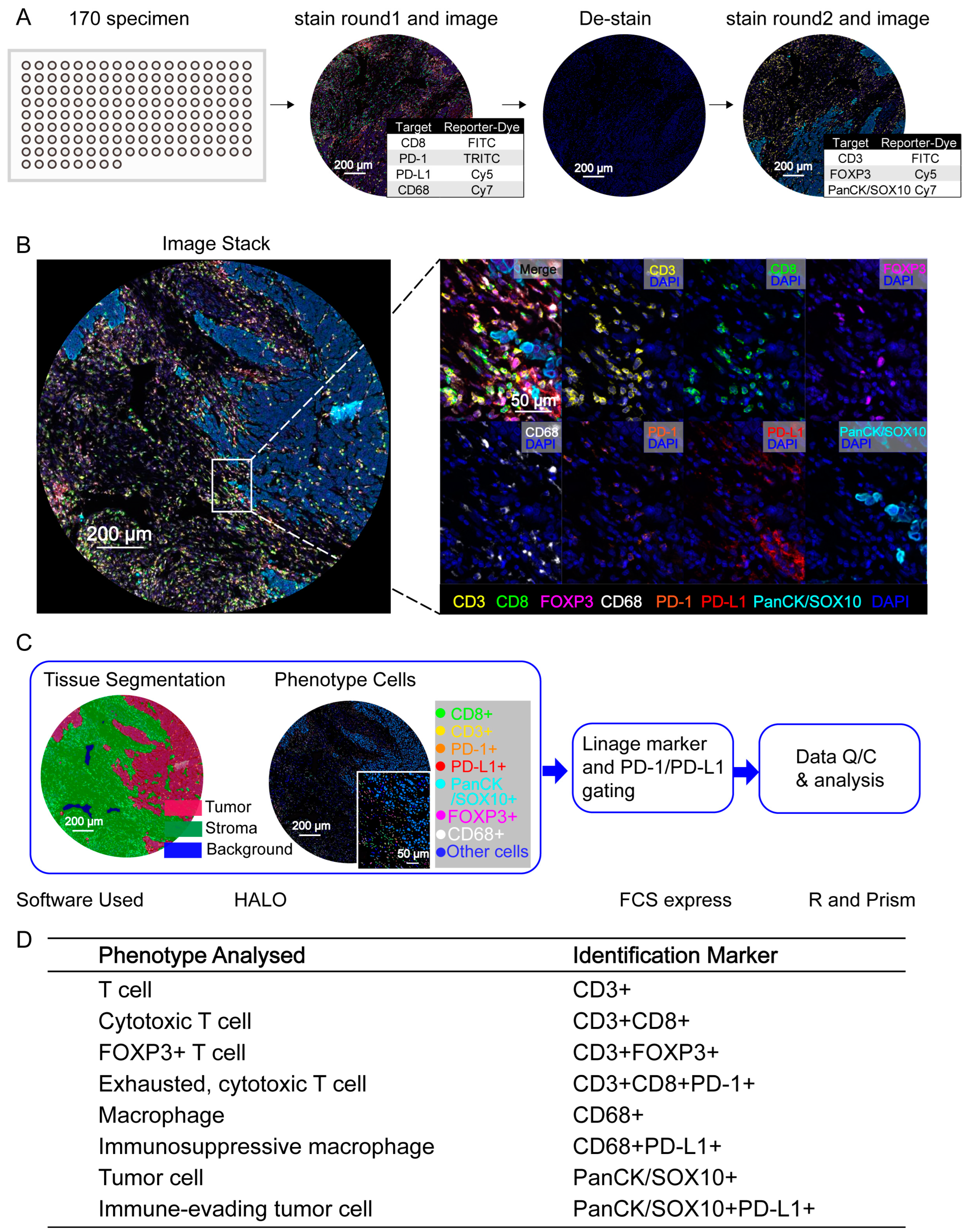 Cancers 15 01389 g001 Cancers 15 01389 g001