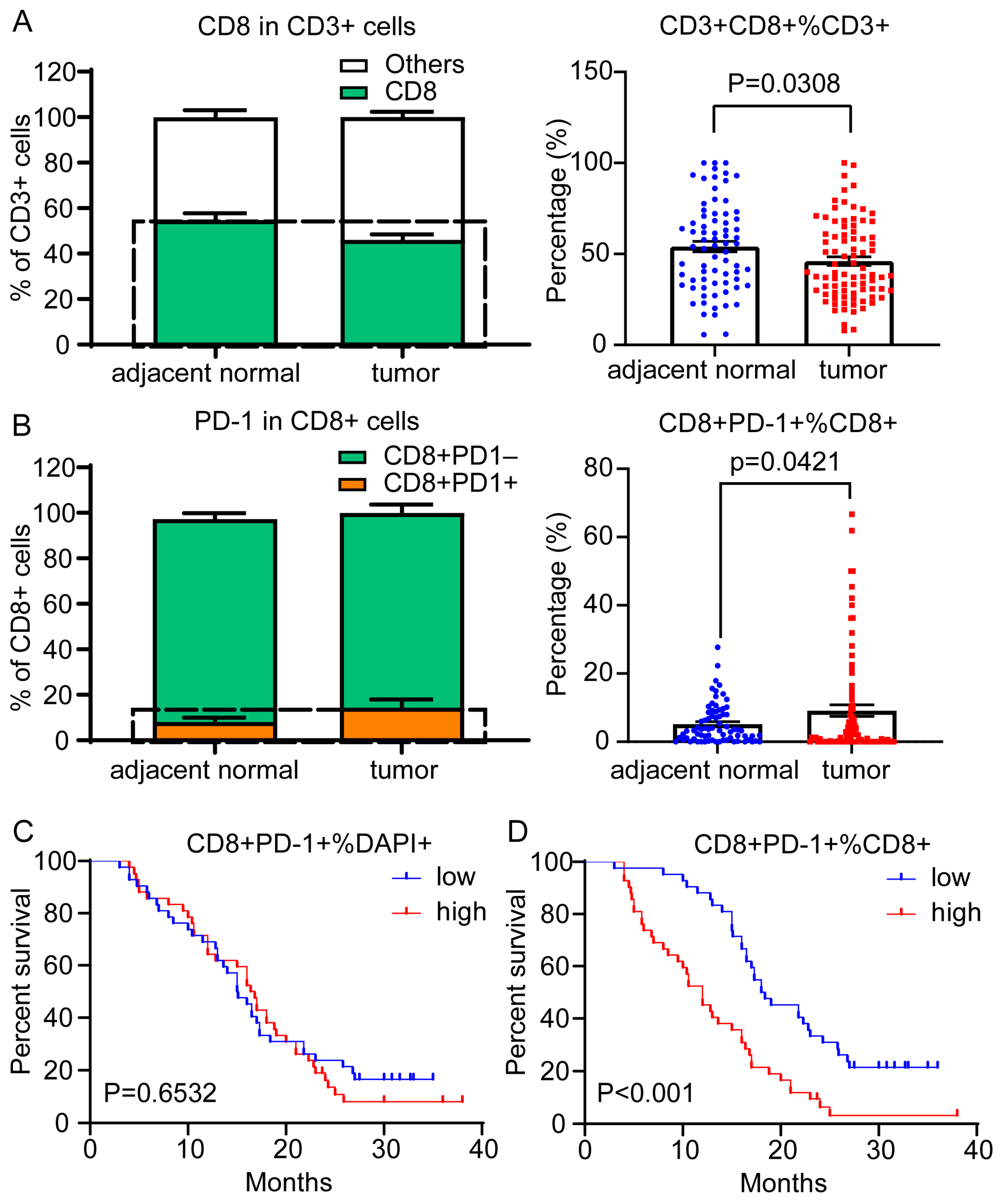 Cancers 15 01389 g004 Cancers 15 01389 g004