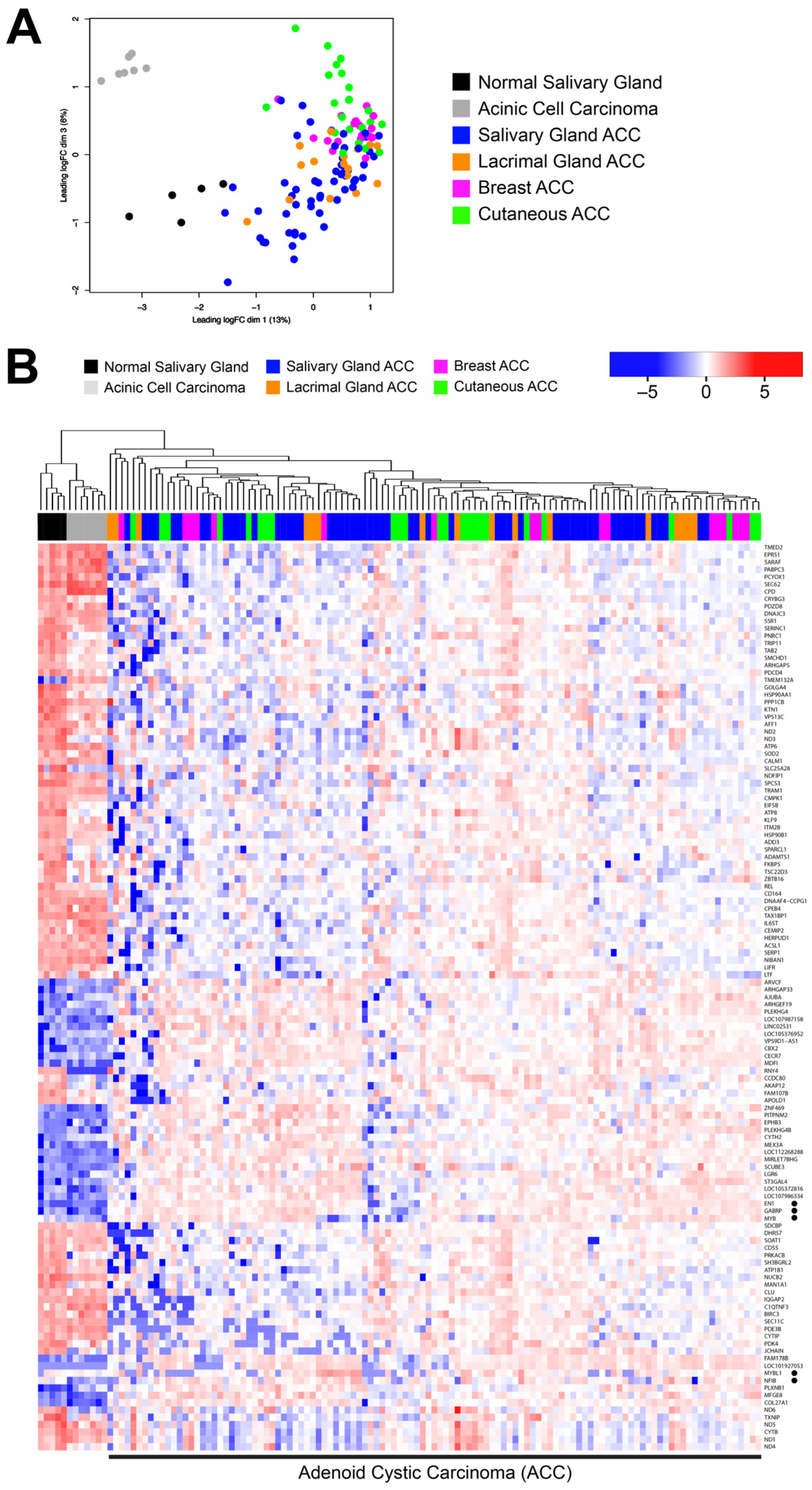 Cancers 15 01390 g001 Cancers 15 01390 g001