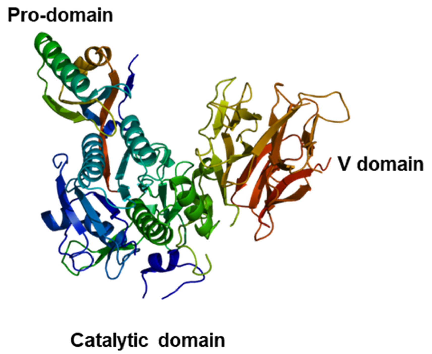 Cancers 15 01397 g002 Cancers 15 01397 g002