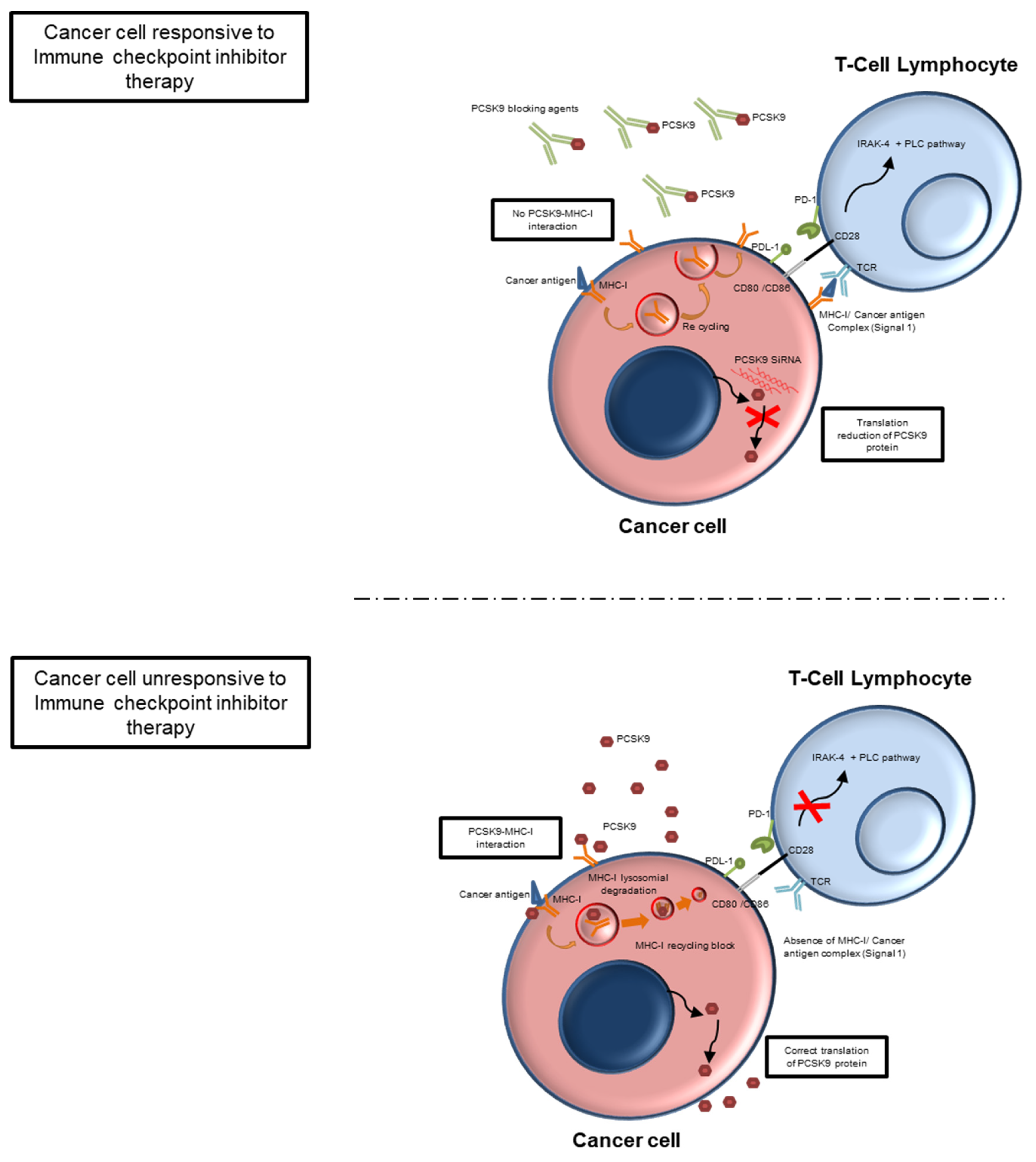 Cancers 15 01397 g003 Cancers 15 01397 g003