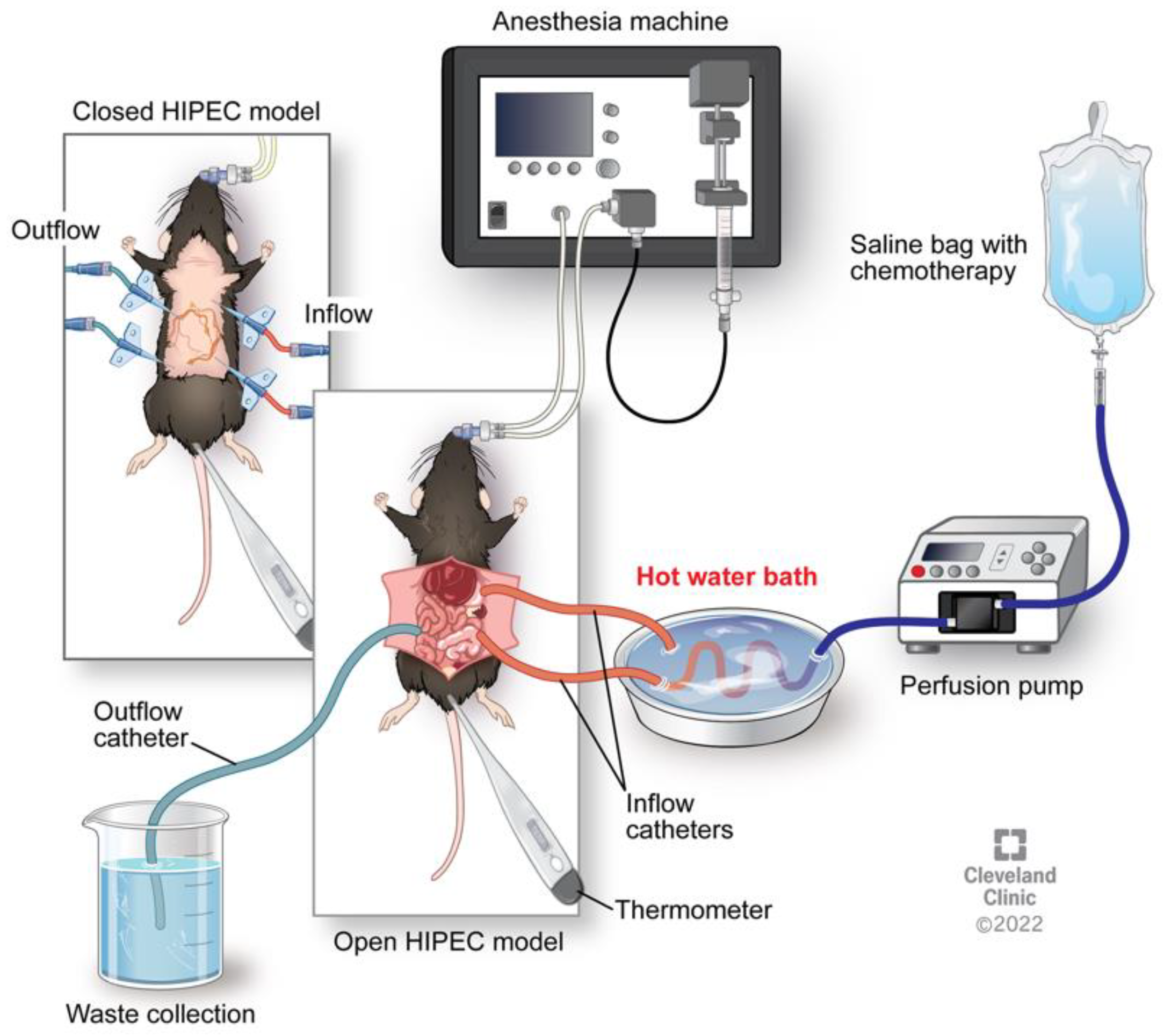 Cancers 15 01402 g002