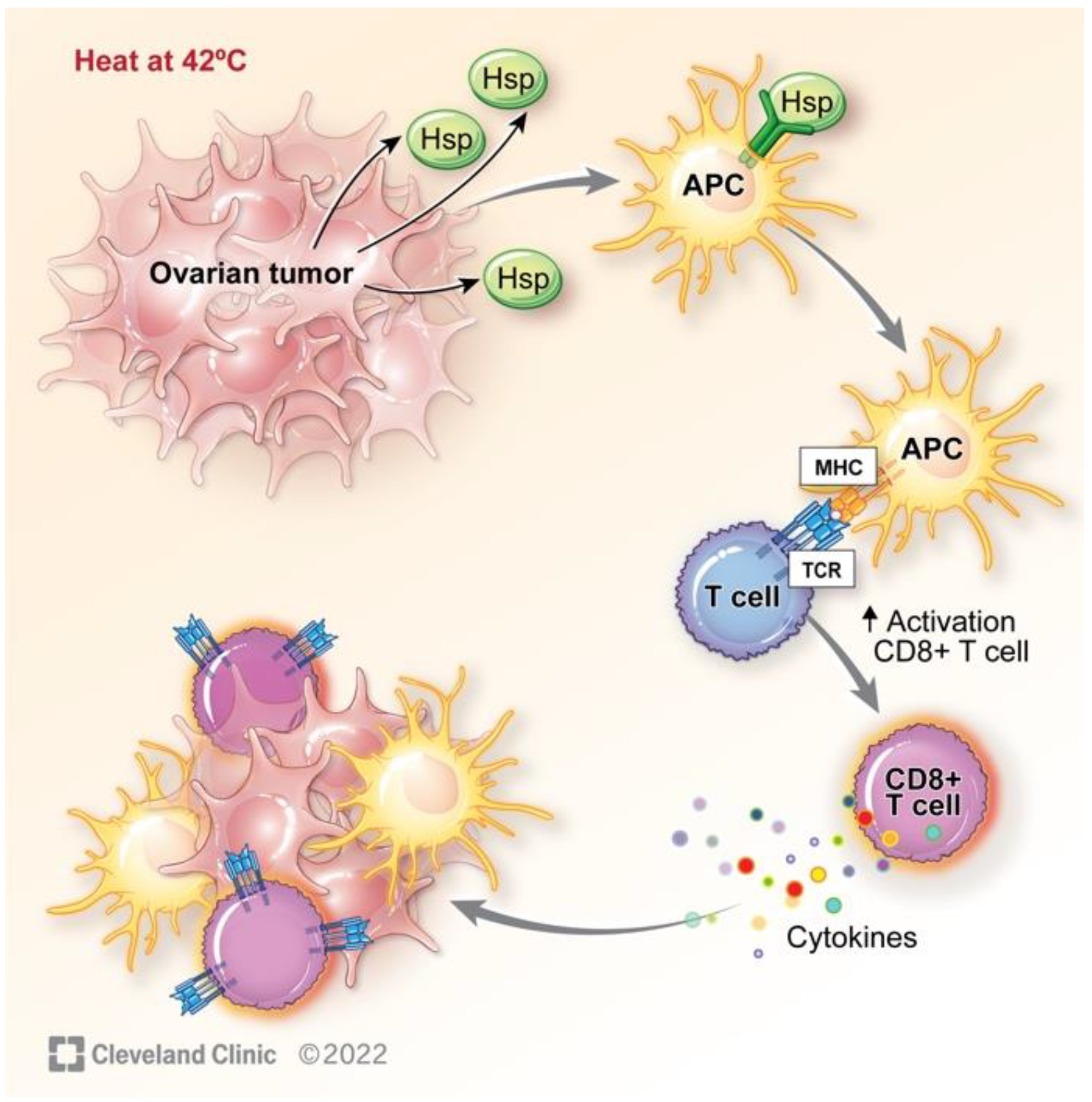 Cancers 15 01402 g003