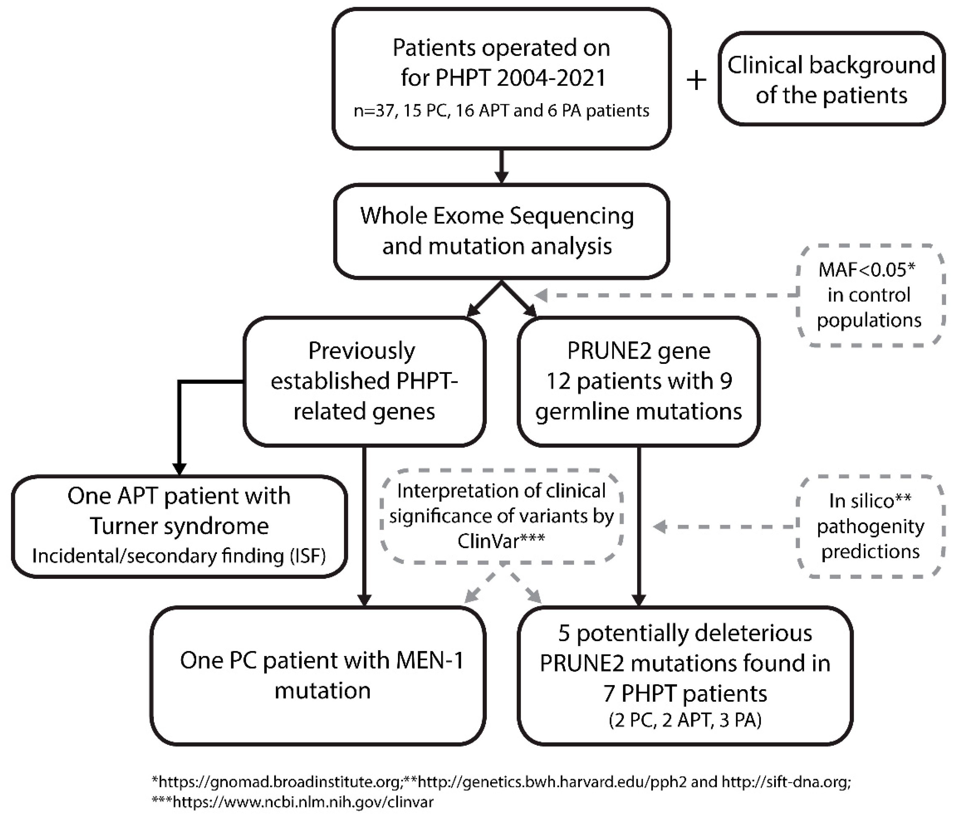 Cancers 15 01405 g001 Cancers 15 01405 g001