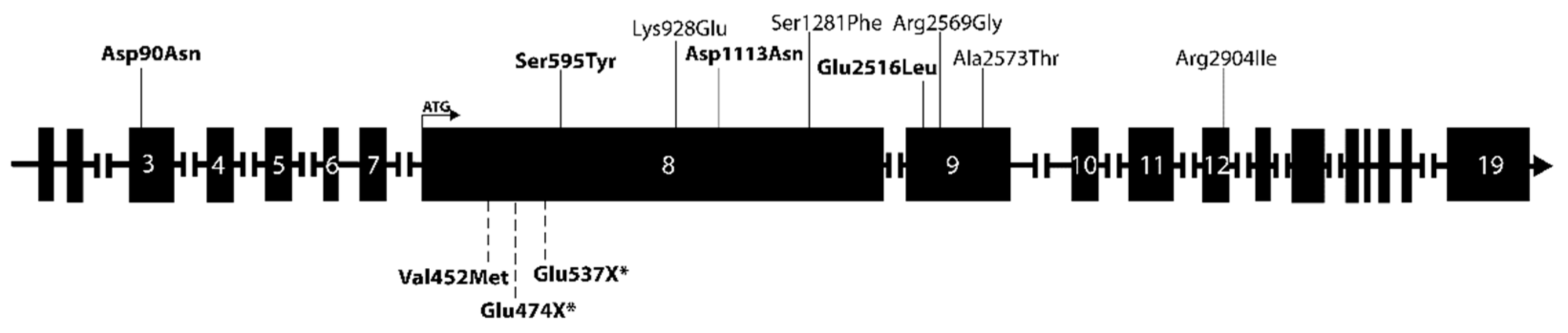 Cancers 15 01405 g002 Cancers 15 01405 g002