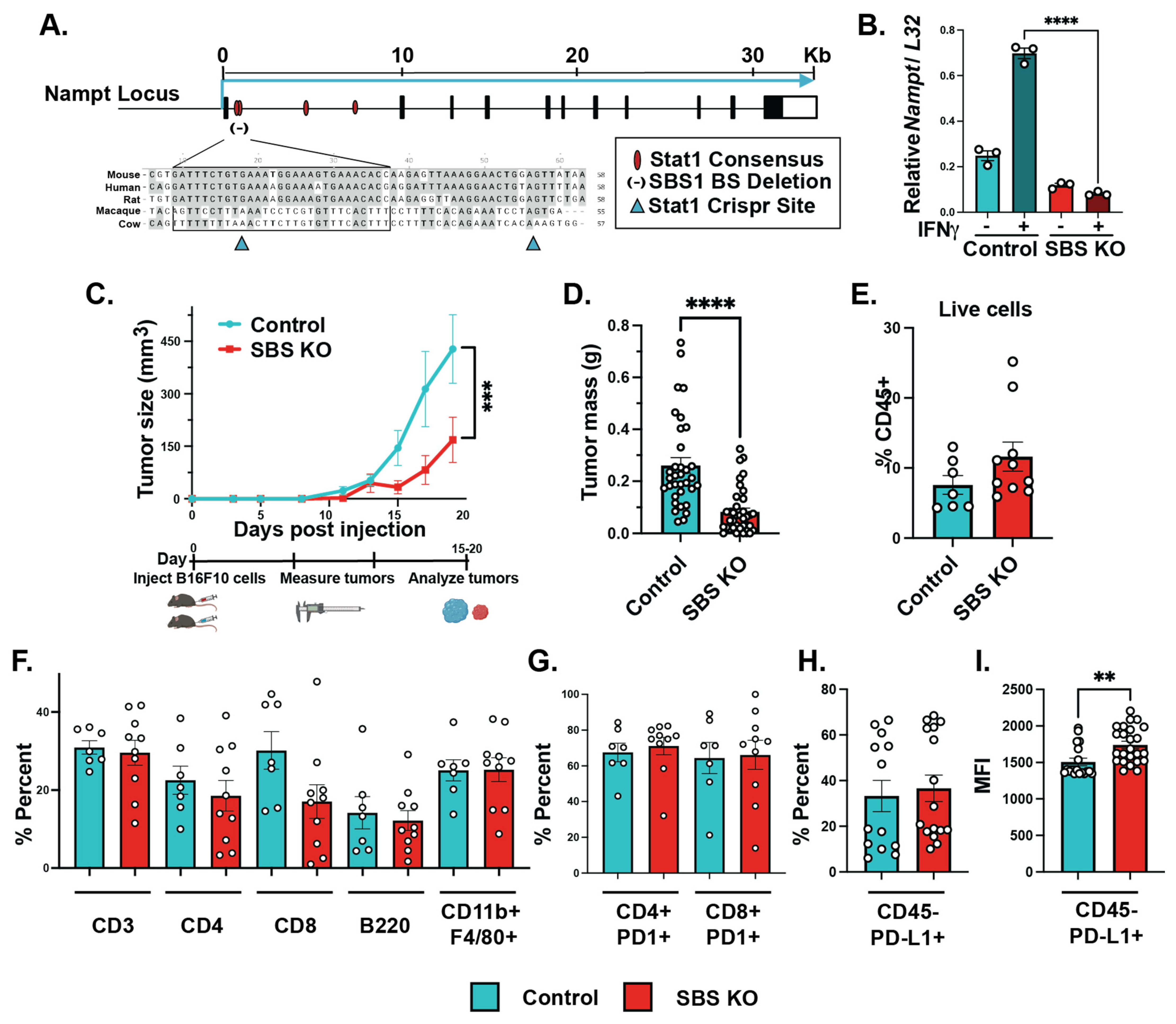 Cancers 15 01411 g003 Cancers 15 01411 g003