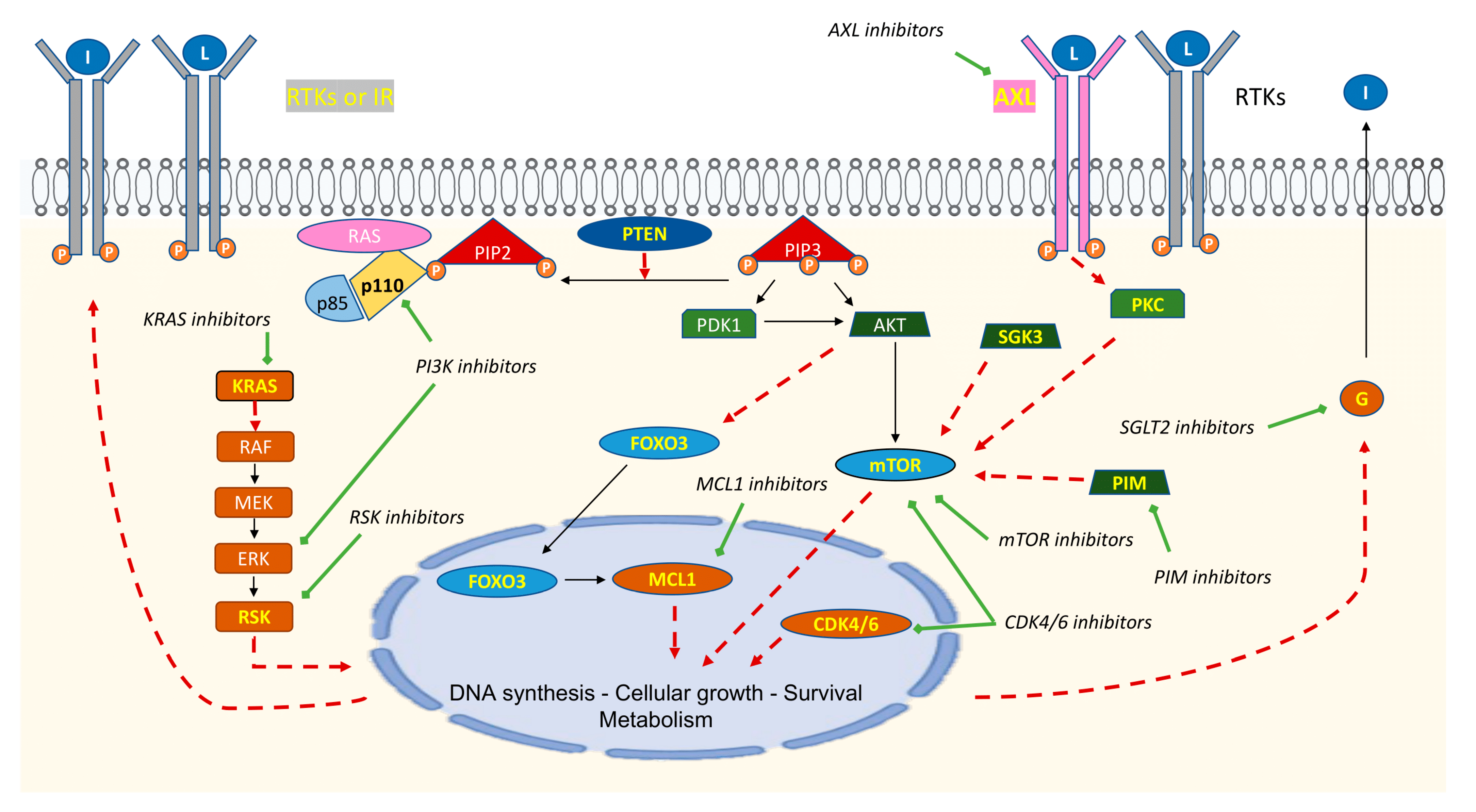 Cancers 15 01416 g002 Cancers 15 01416 g002