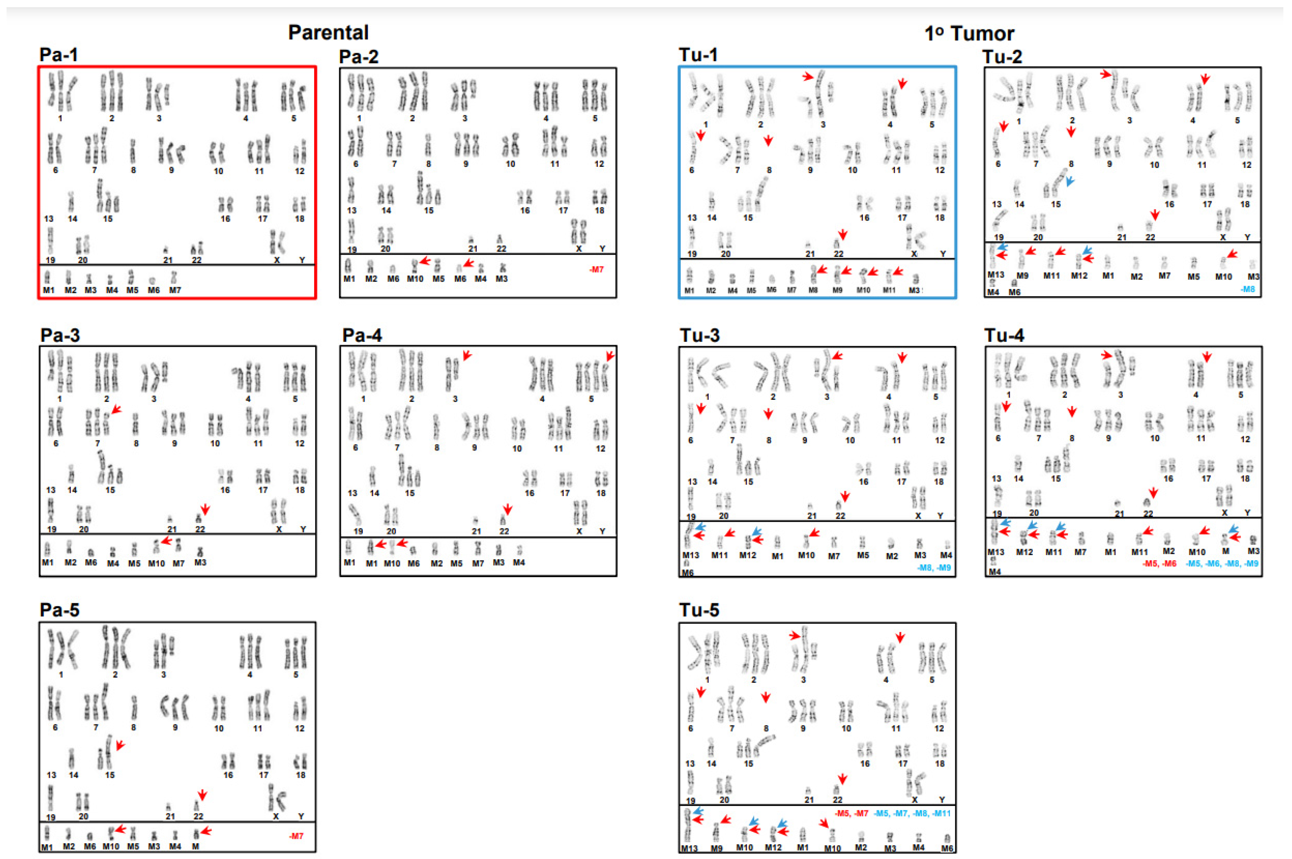 Cancers 15 01420 g001
