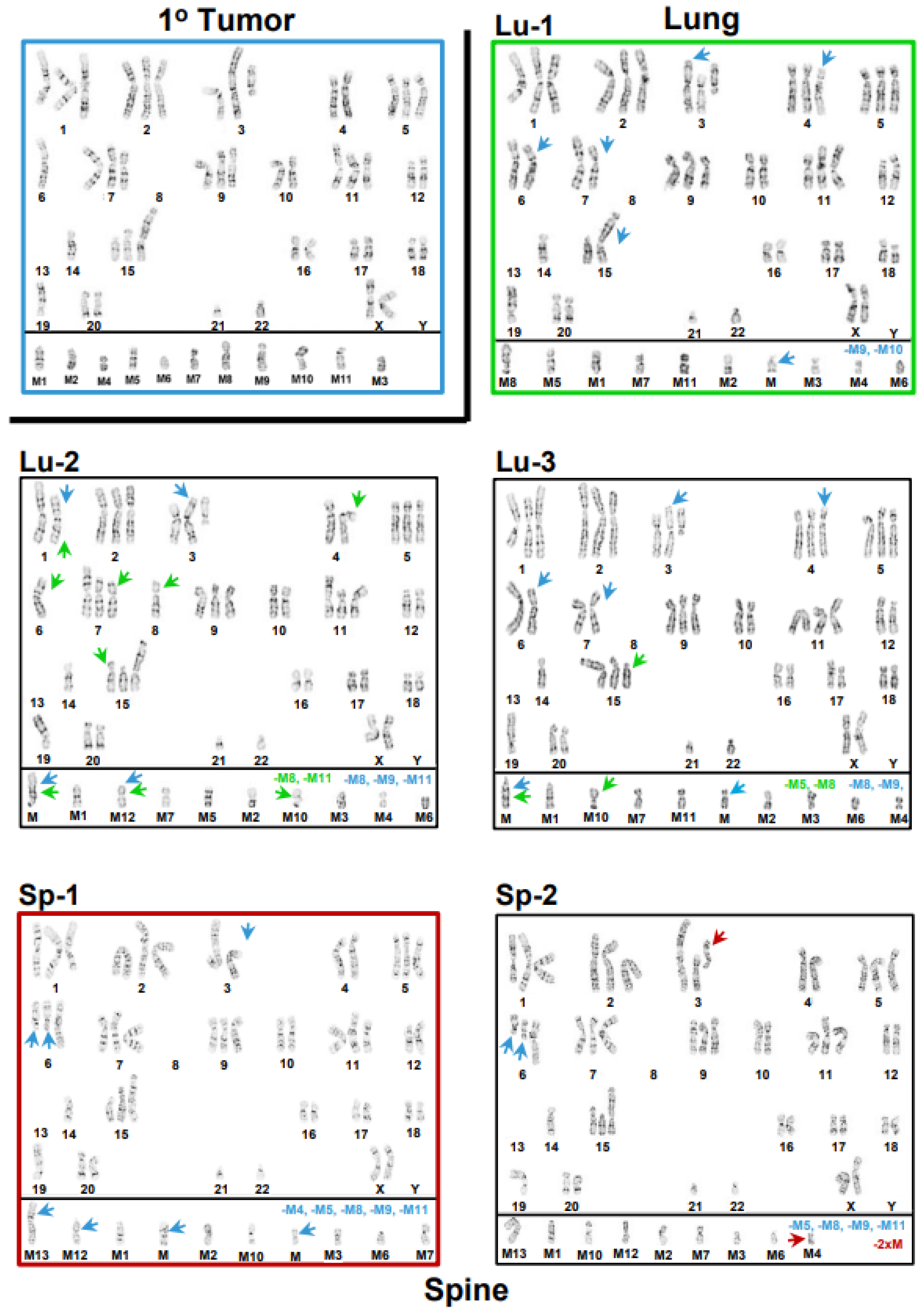 Cancers 15 01420 g003