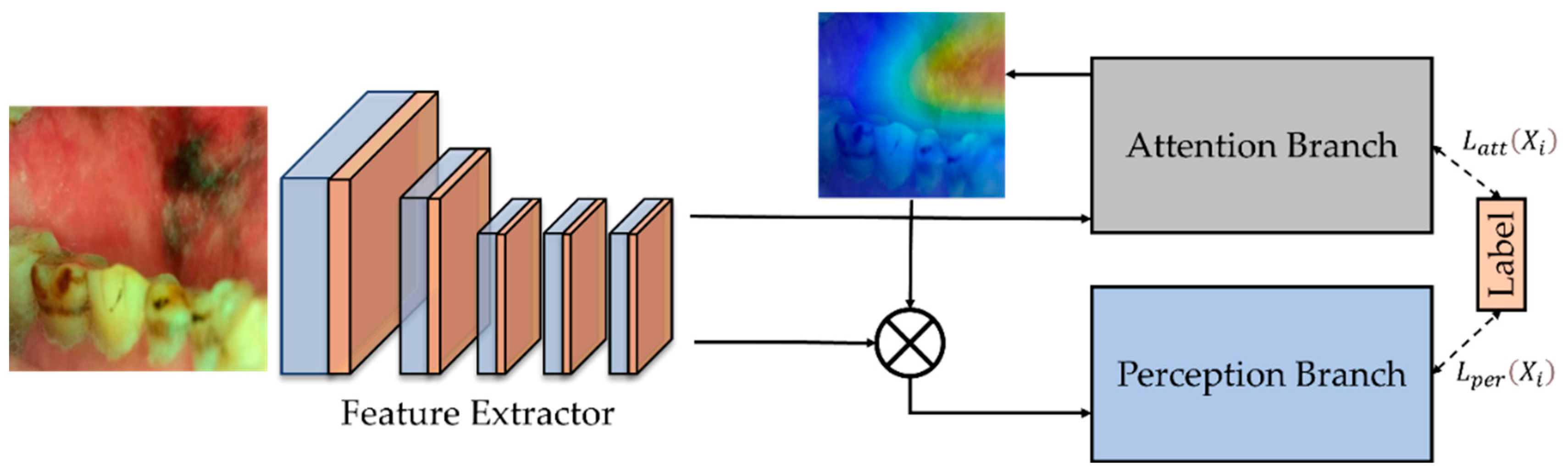Cancers 15 01421 g001 Cancers 15 01421 g001