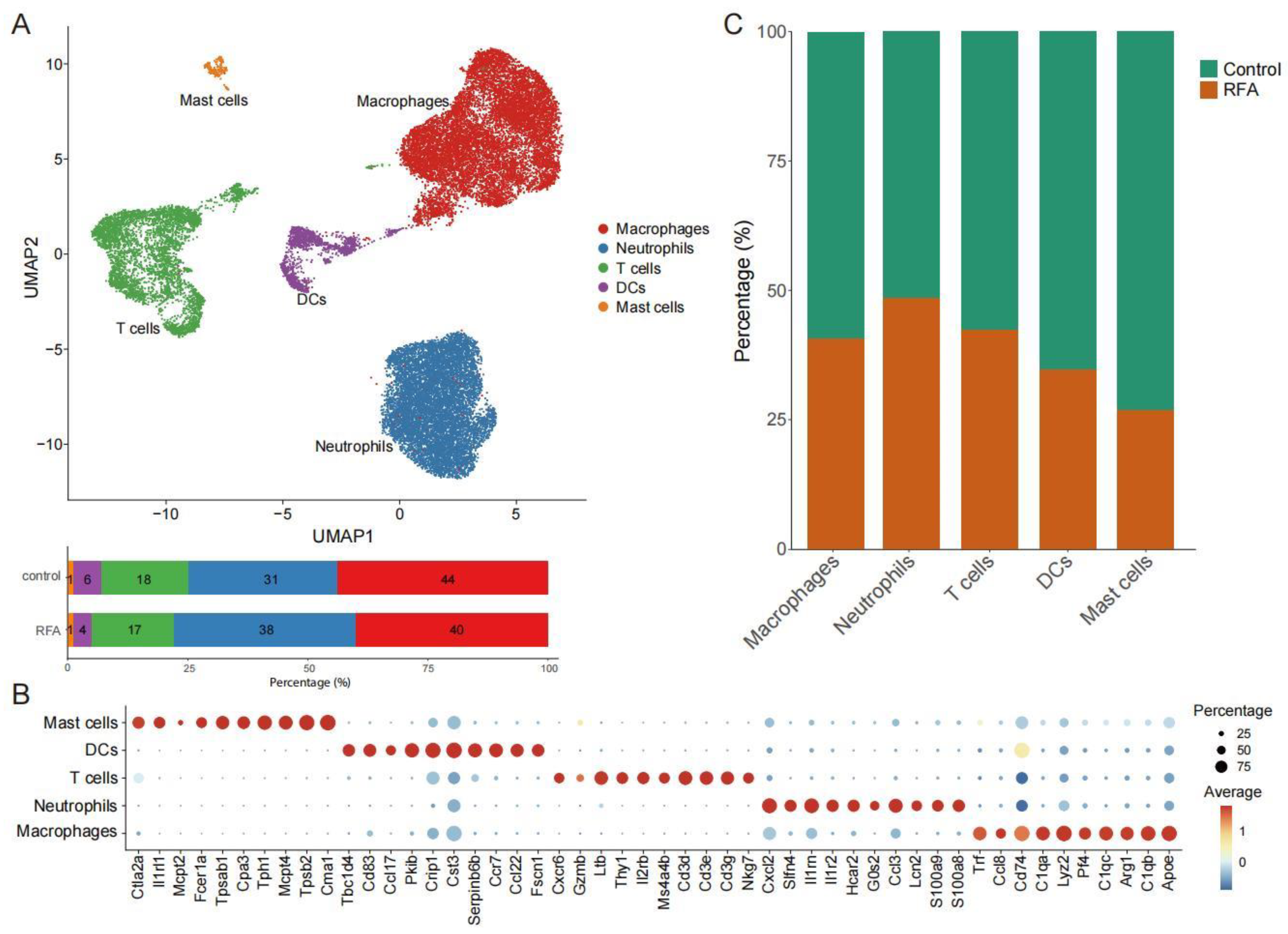 Cancers 15 01427 g001