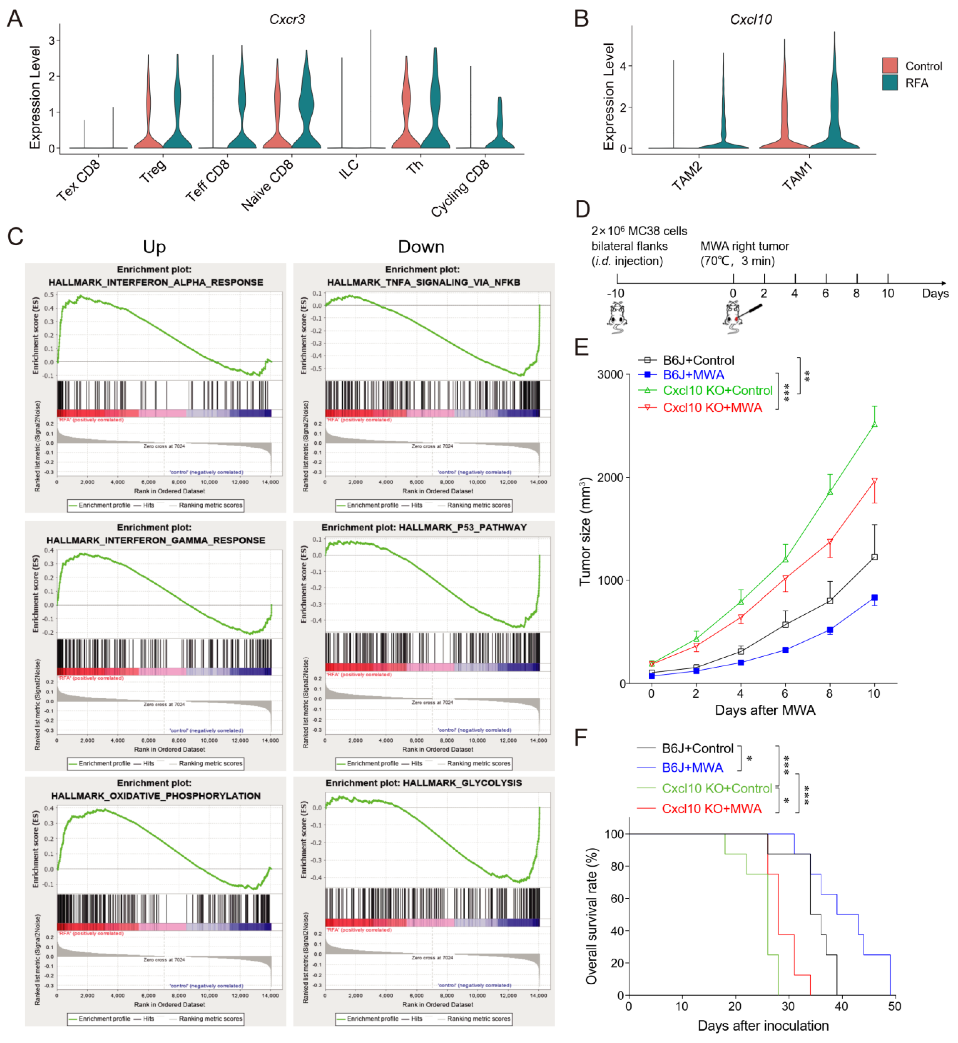 Cancers 15 01427 g005