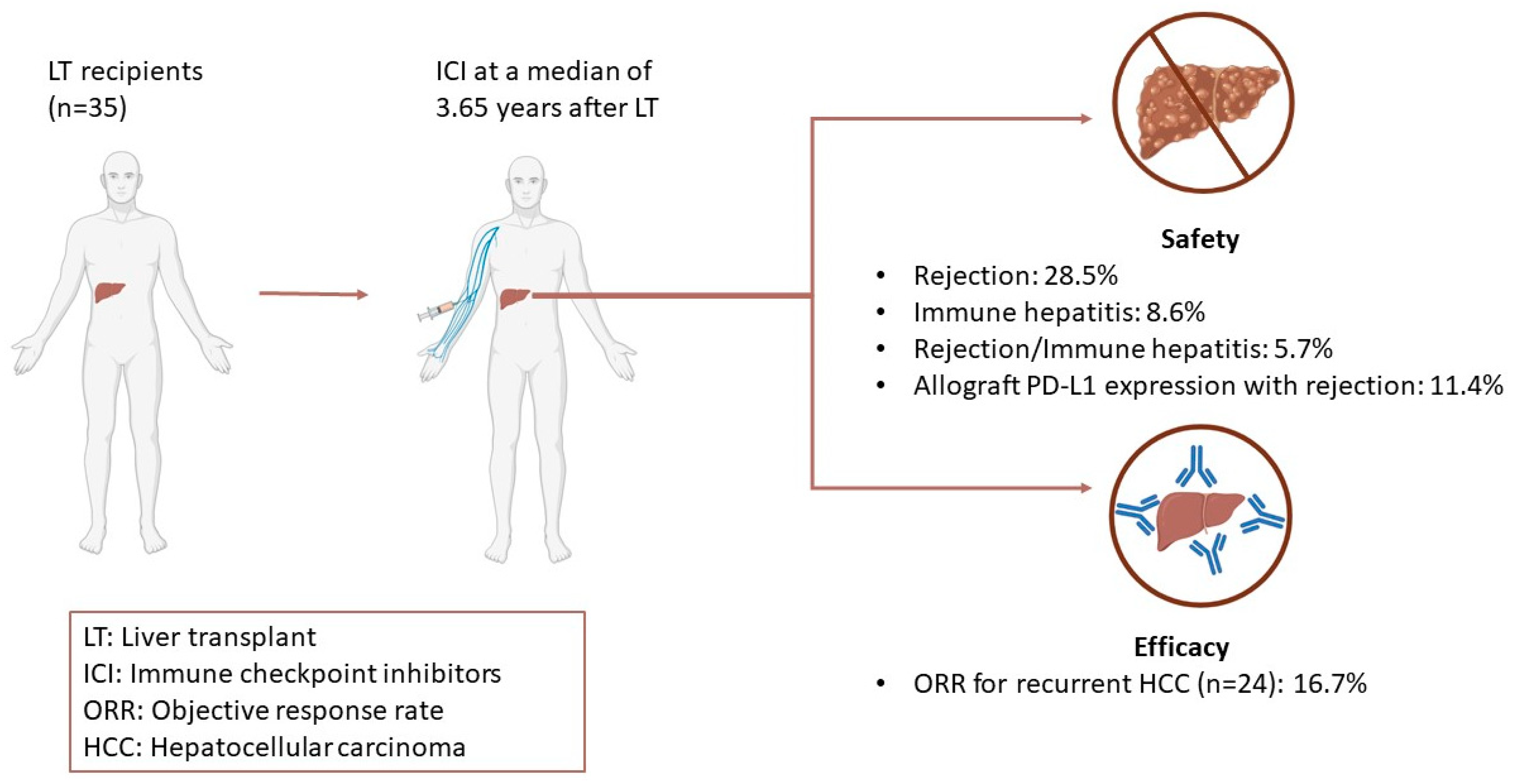 Cancers 15 01433 g001 Cancers 15 01433 g001