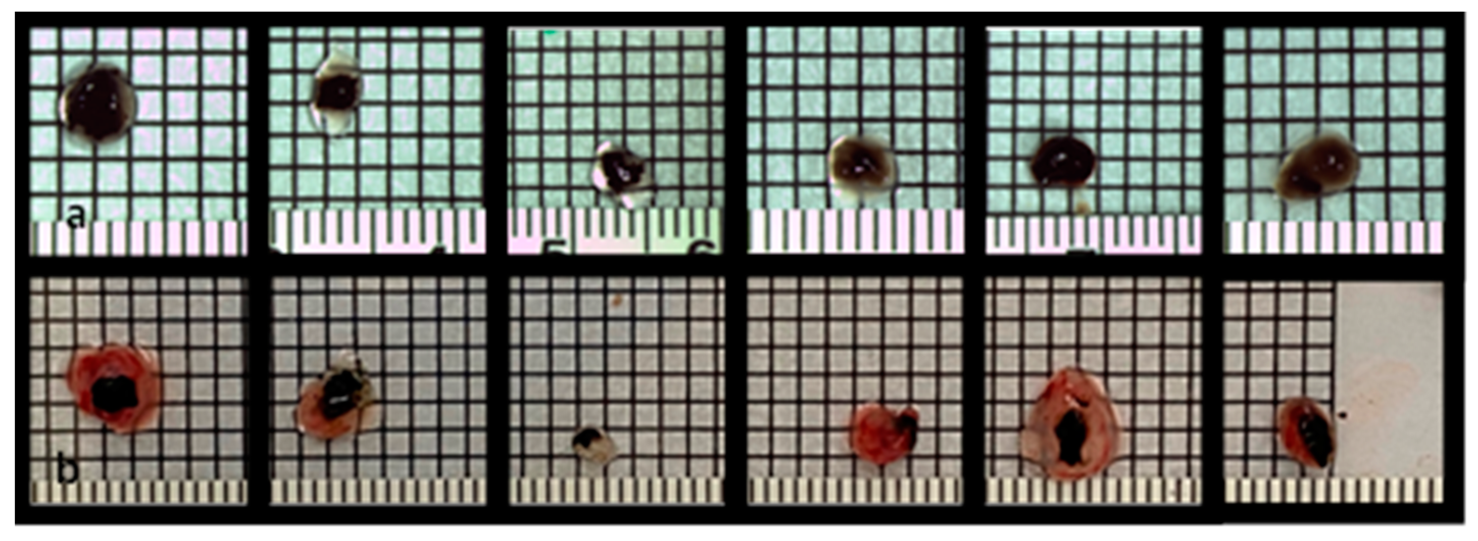 Cancers 15 01436 g001