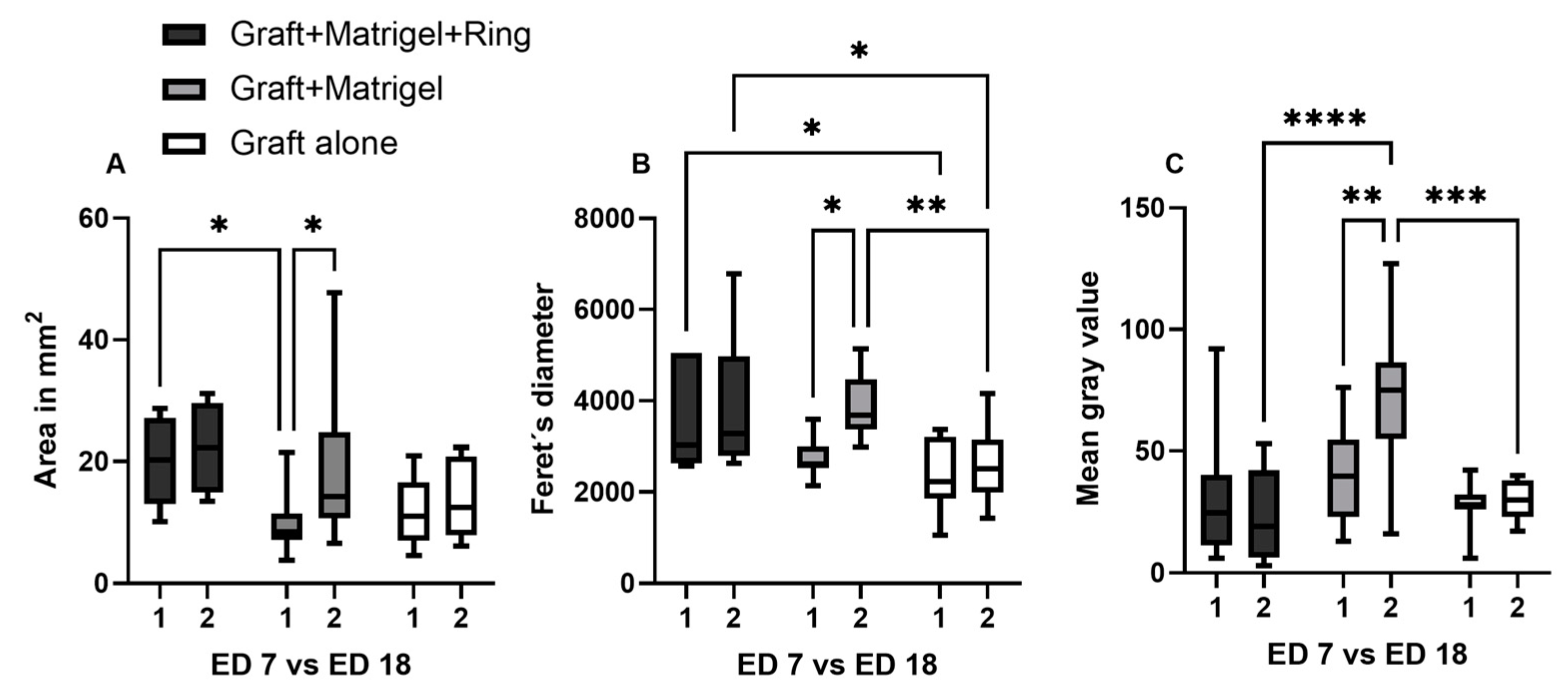 Cancers 15 01436 g010