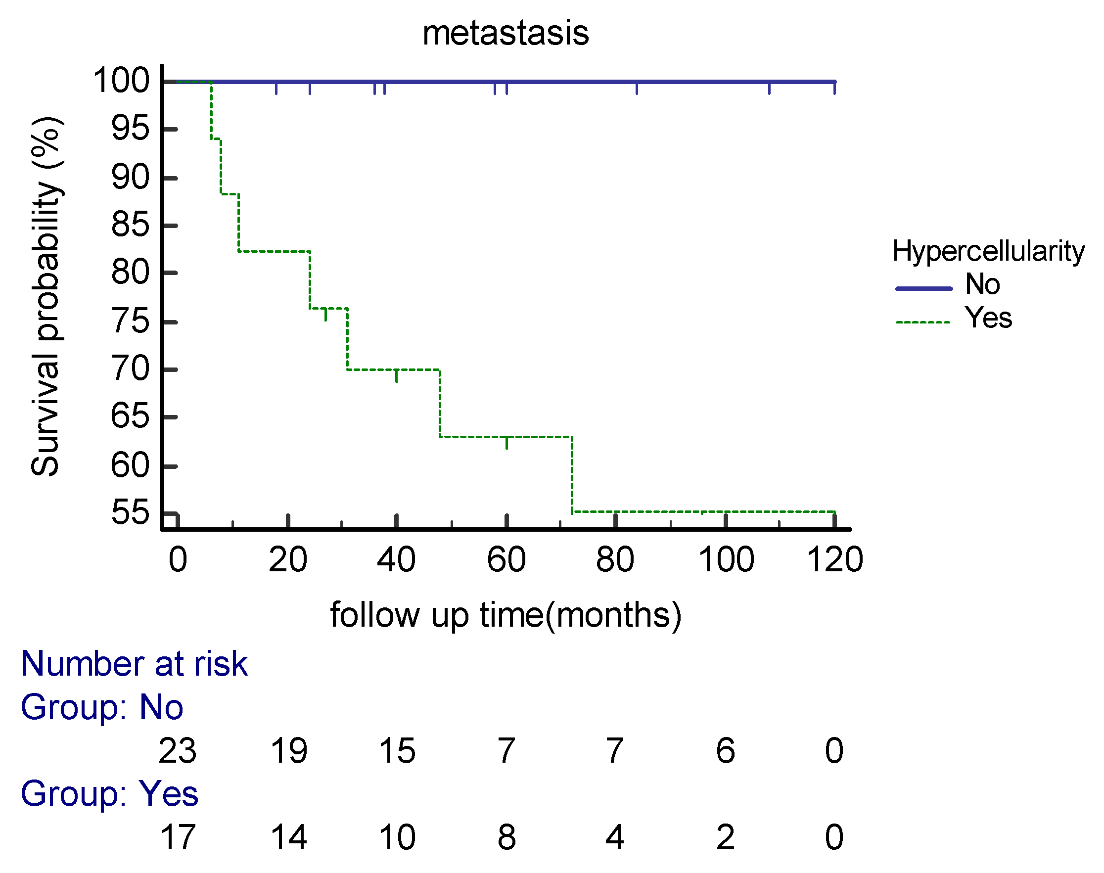 Cancers 15 01441 g003 Cancers 15 01441 g003