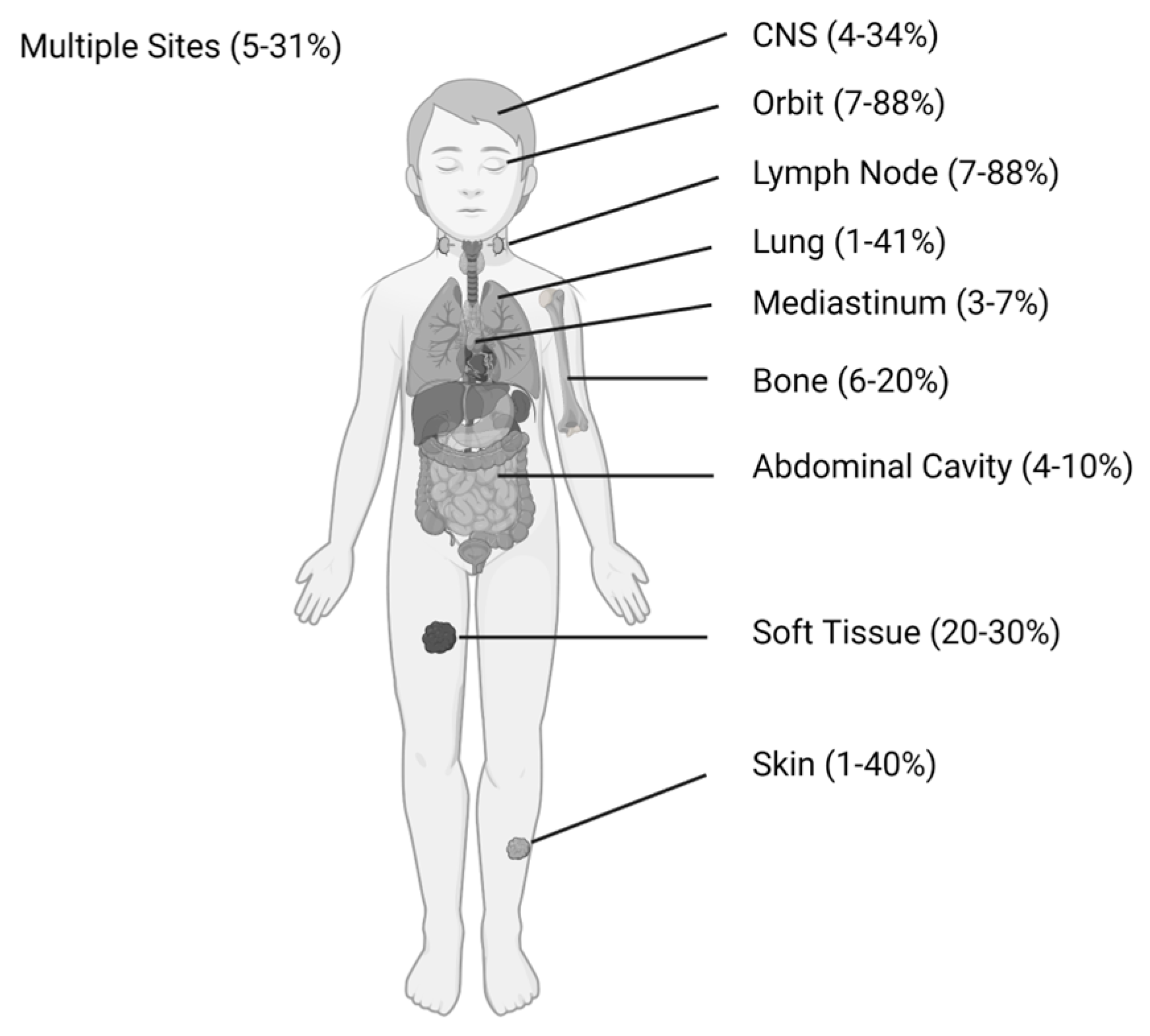 Cancers 15 01443 g001