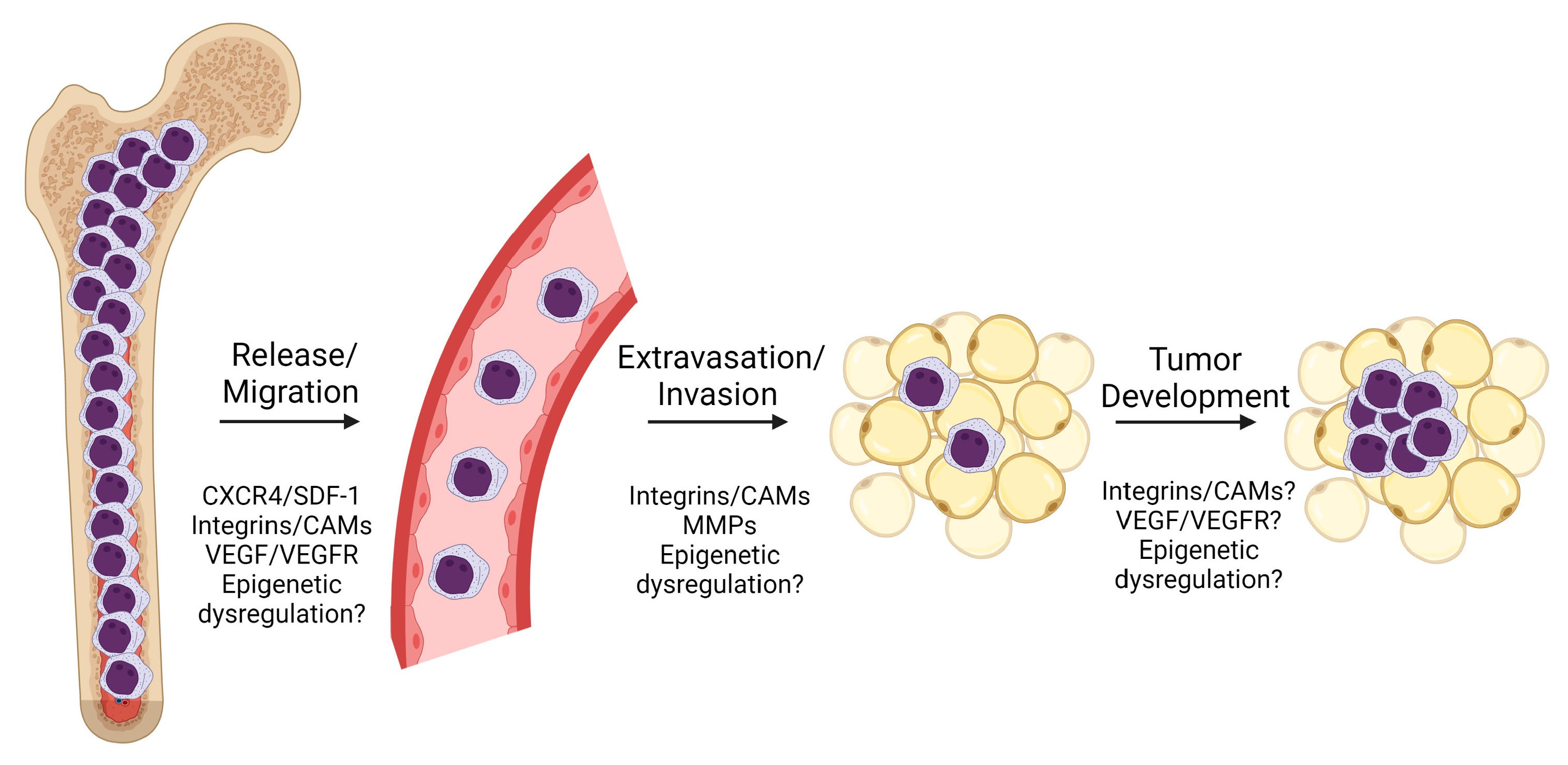 Cancers 15 01443 g003