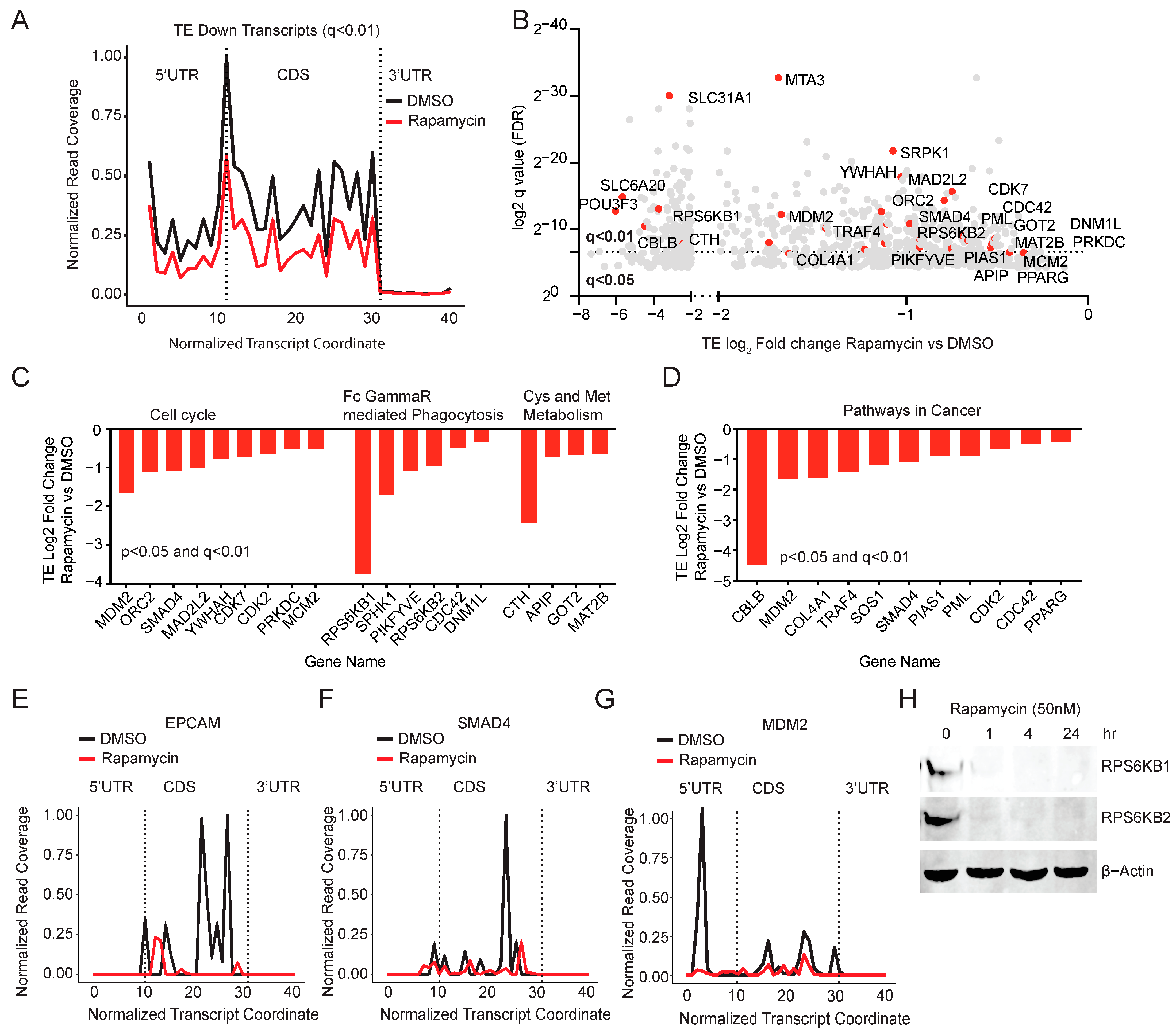 Cancers 15 01444 g002 Cancers 15 01444 g002