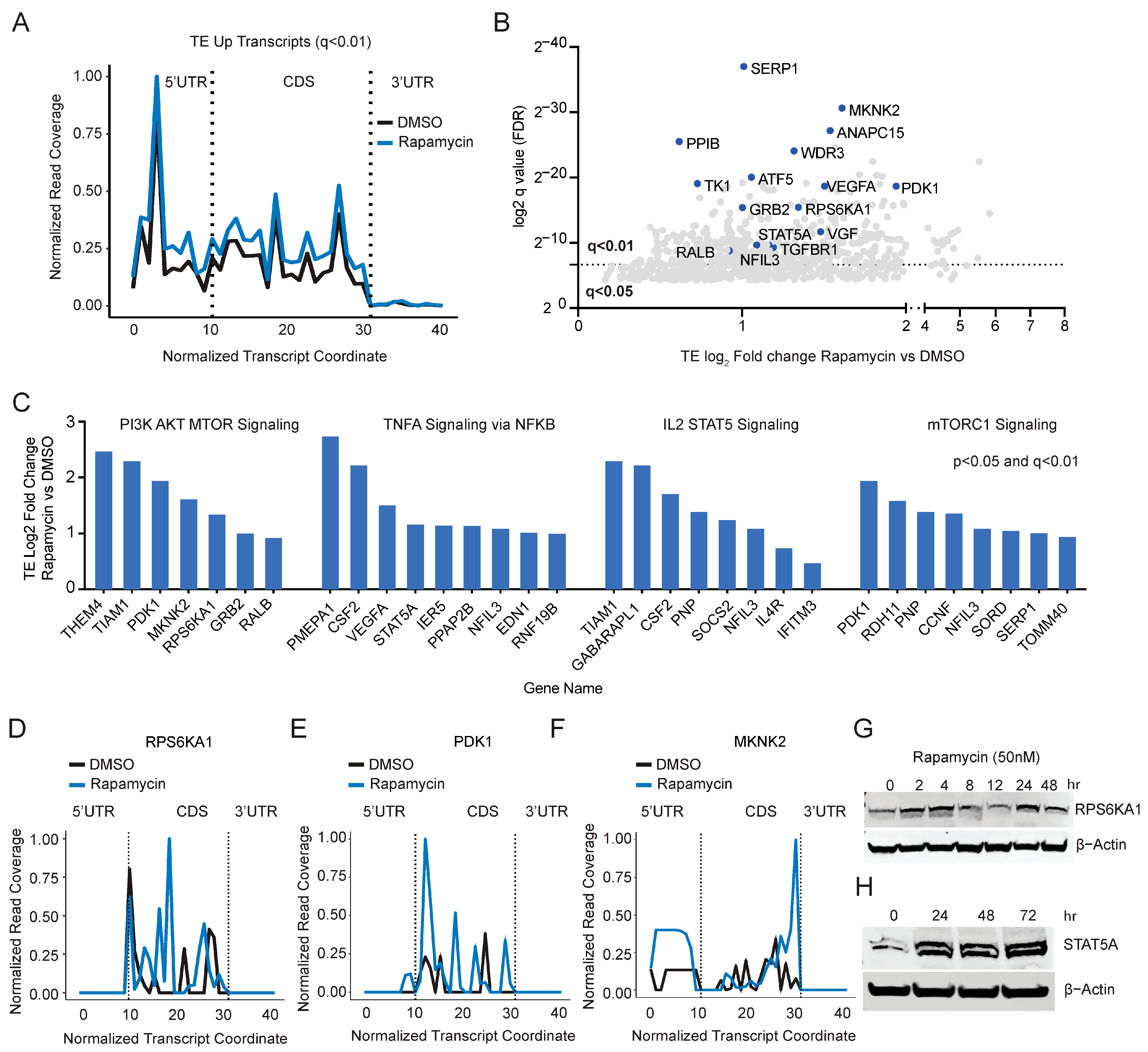 Cancers 15 01444 g003 Cancers 15 01444 g003
