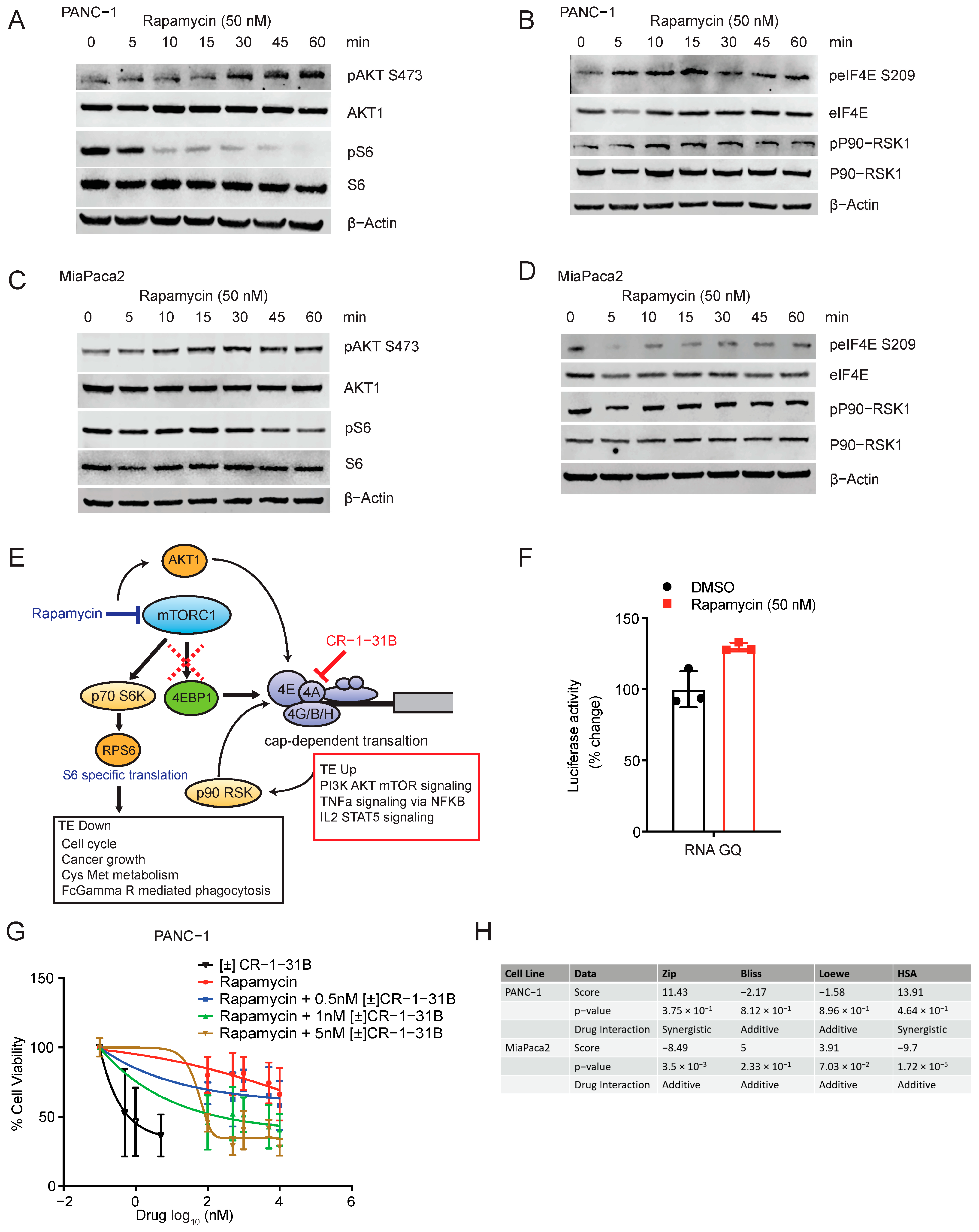 Cancers 15 01444 g004 Cancers 15 01444 g004