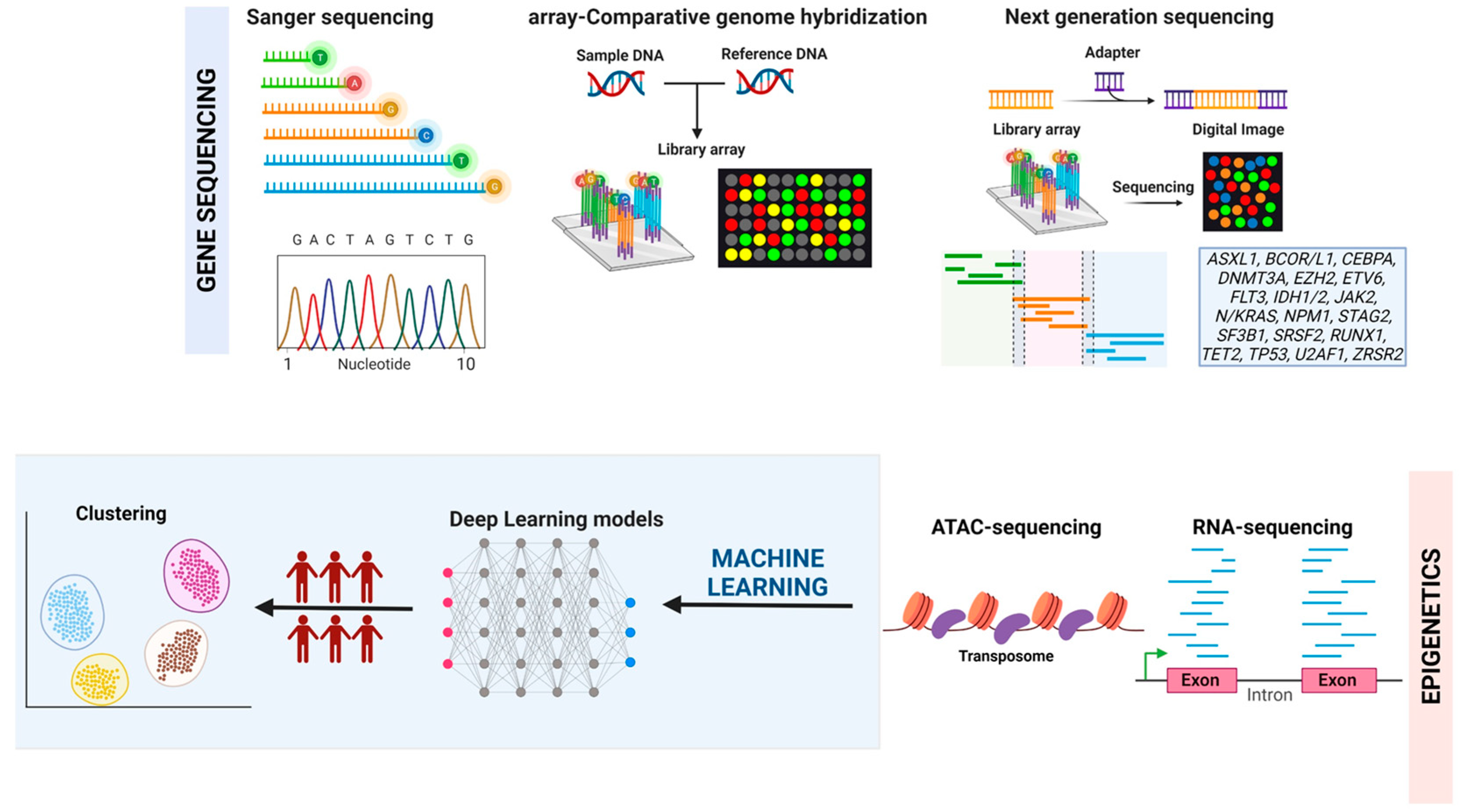 Cancers 15 01449 g001