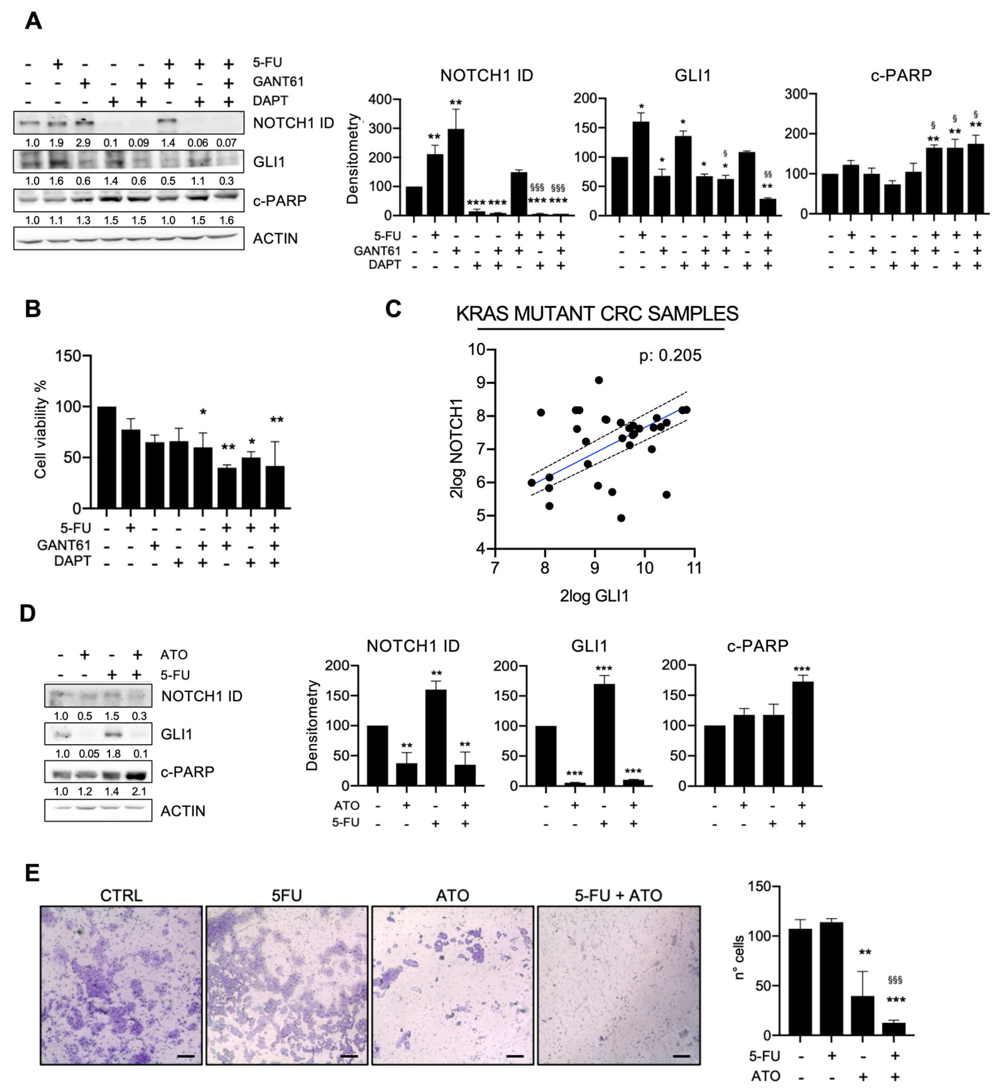 Cancers 15 01471 g001