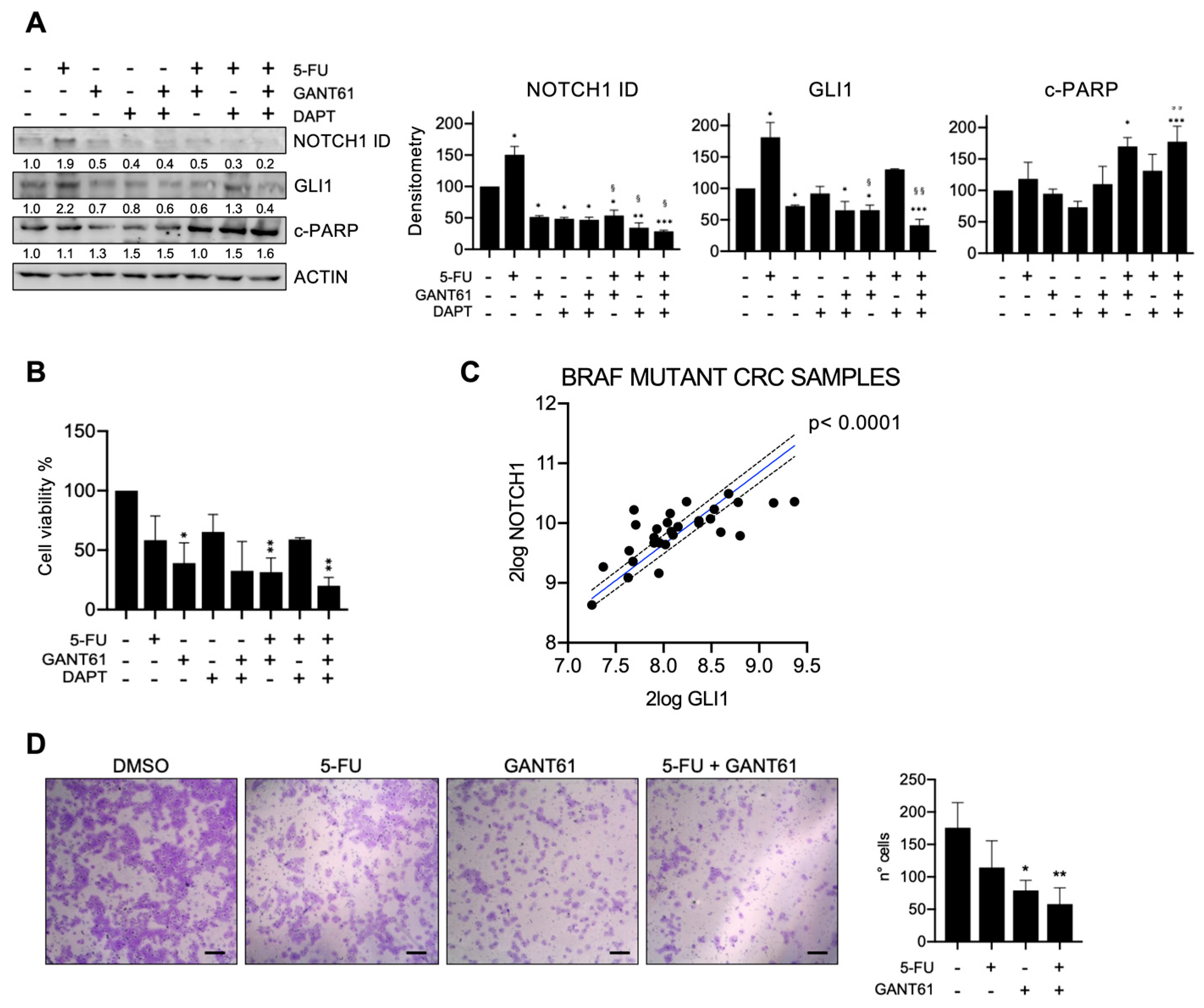 Cancers 15 01471 g002