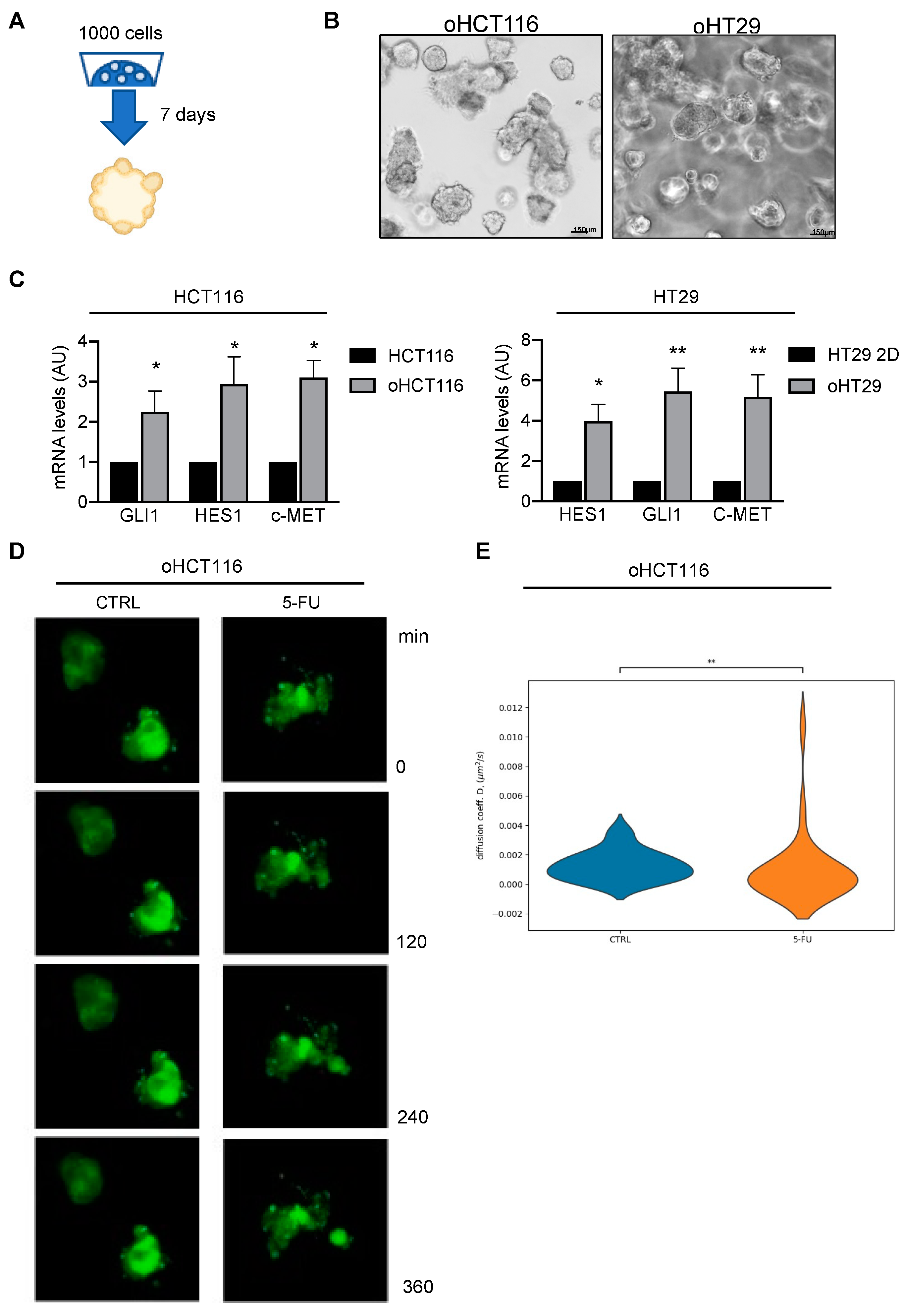 Cancers 15 01471 g003