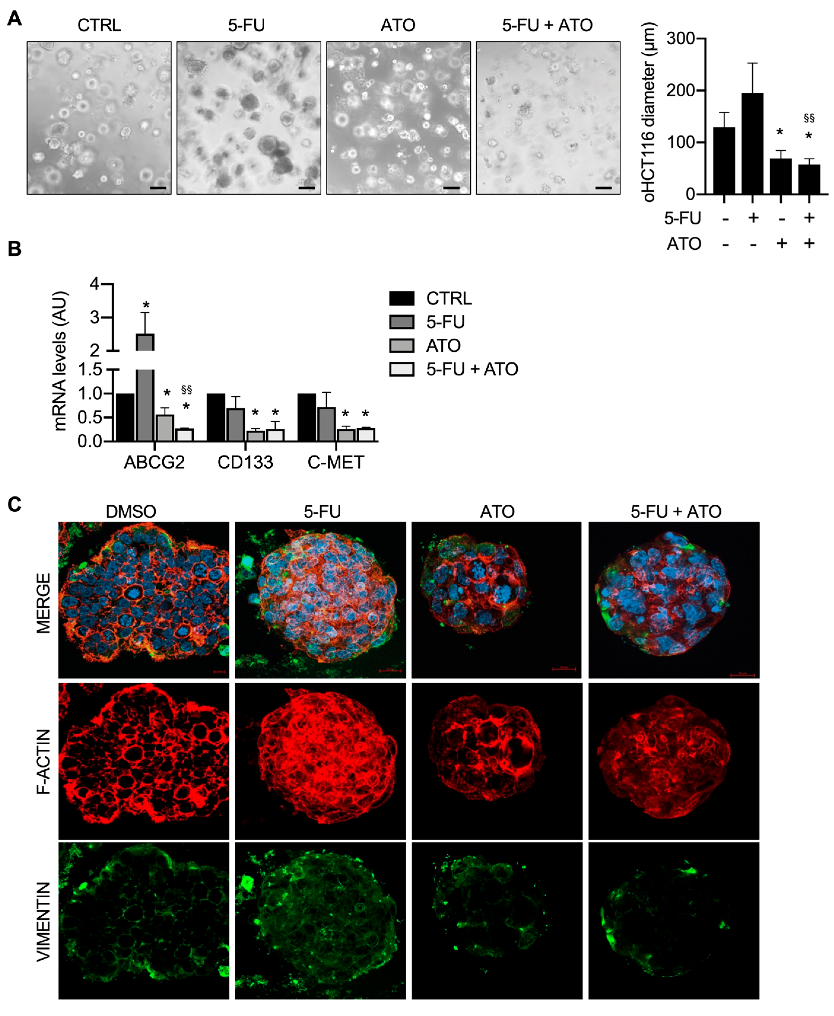 Cancers 15 01471 g004