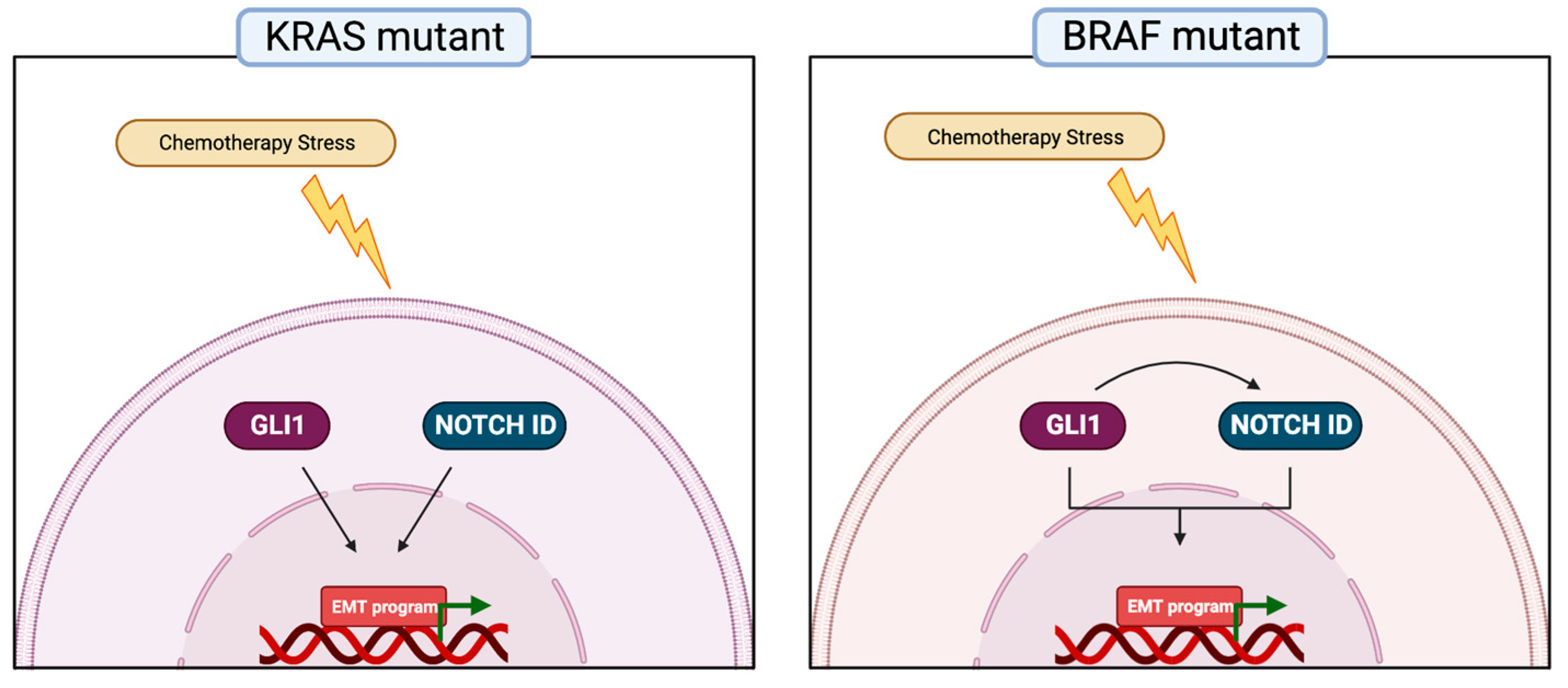 Cancers 15 01471 g006